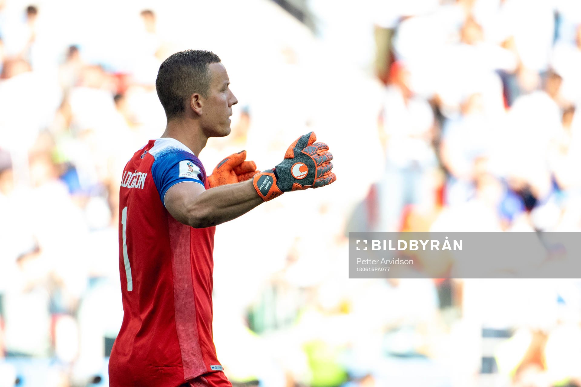 goalkeeper Hannes Halldorsson of Iceland celebrates