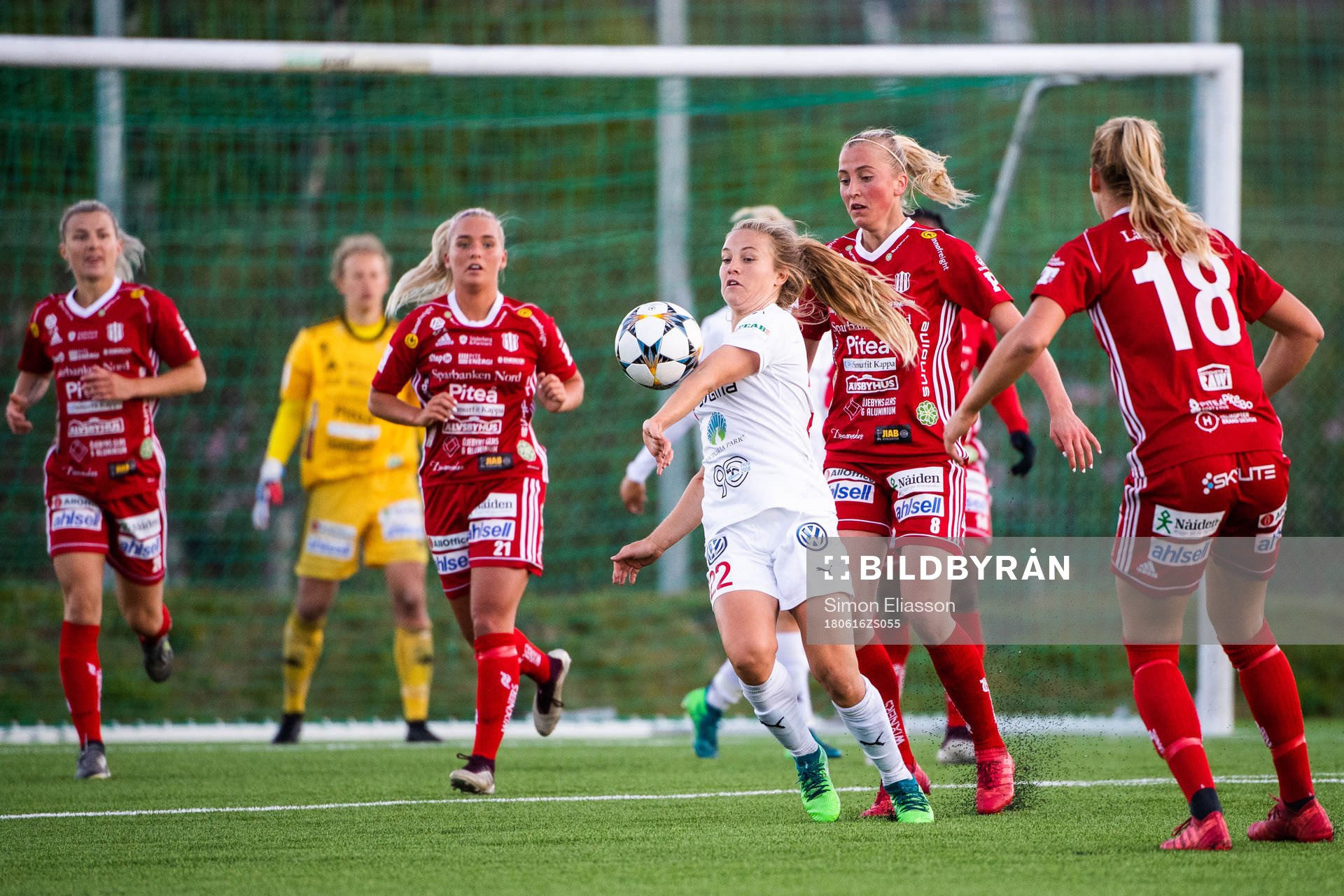 Rosengårds Fiona Brown
