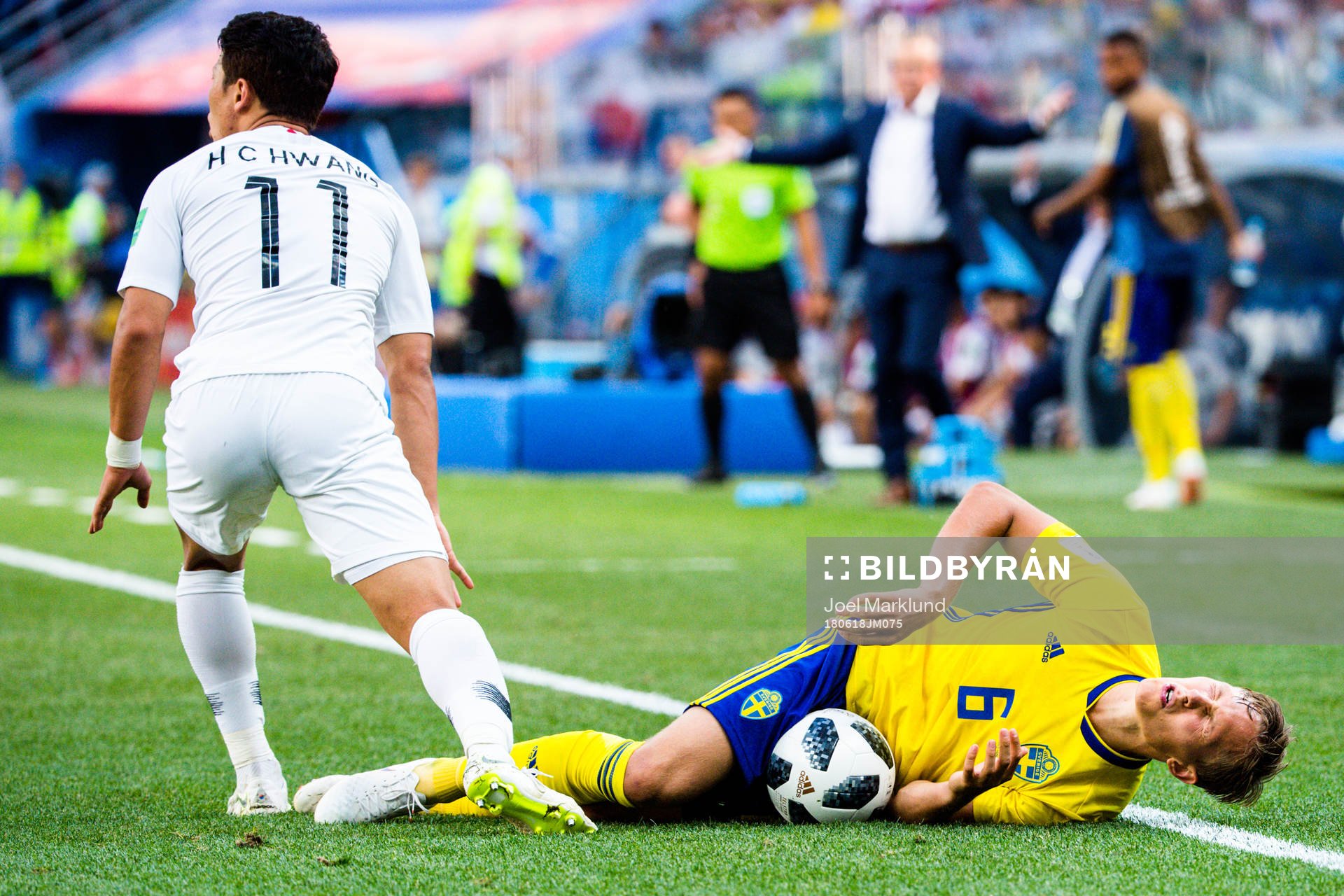 Ludwig Augustinsson of Sweden in pain