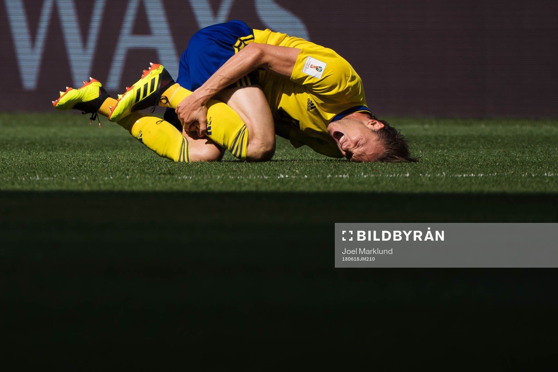 Albin Ekdal of Sweden in pain