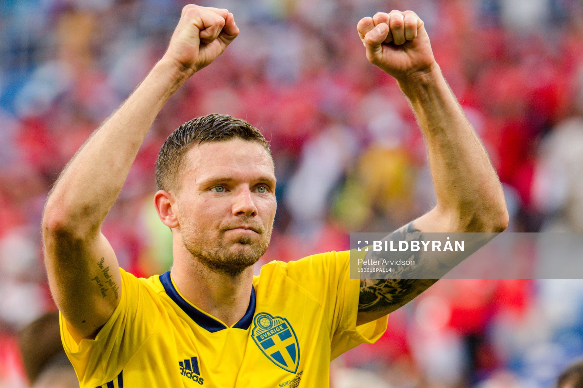 Marcus Berg of Sweden celebrates