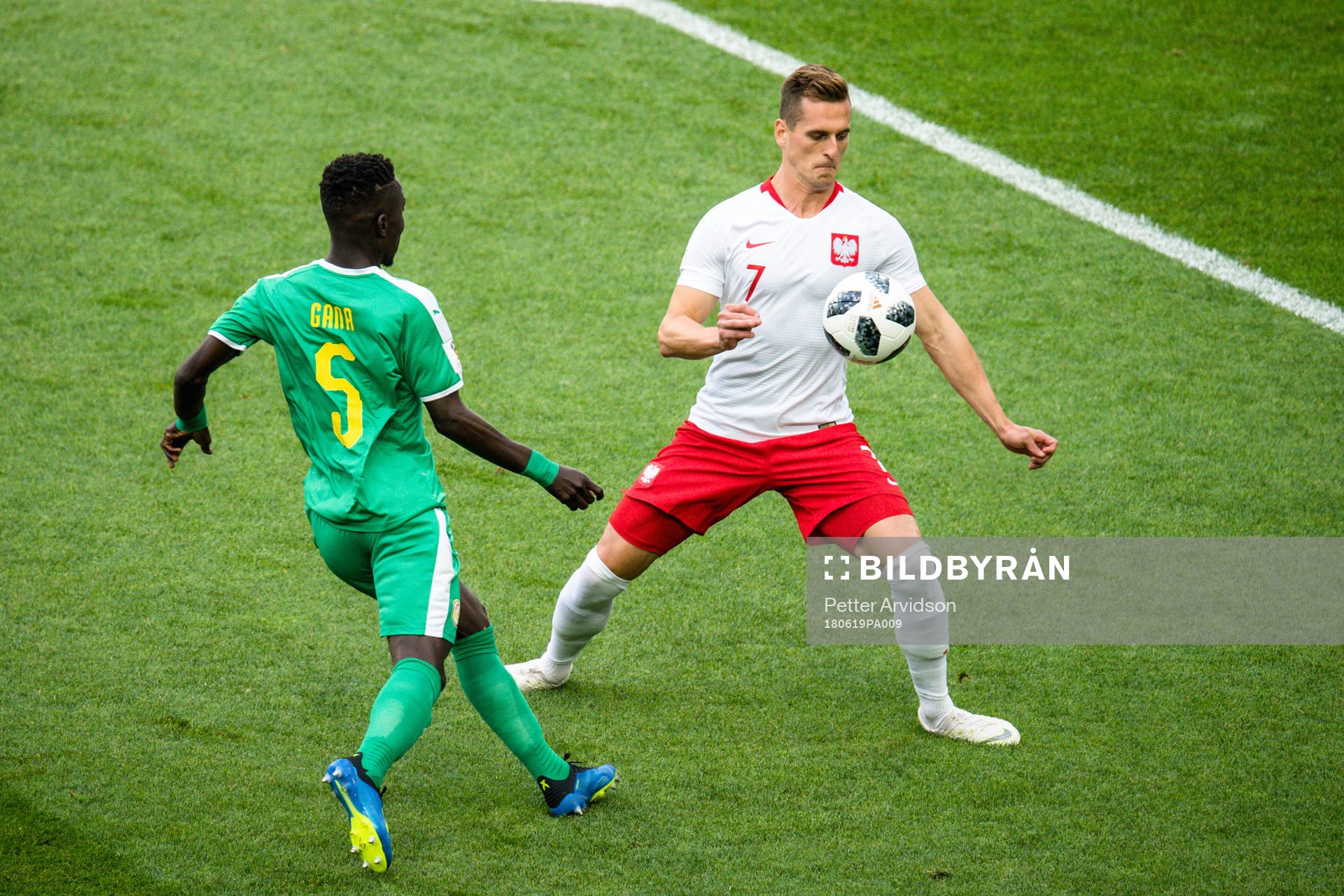 Arkadiusz Milik of Poland and Idrissa Gana Gueye of Senegal