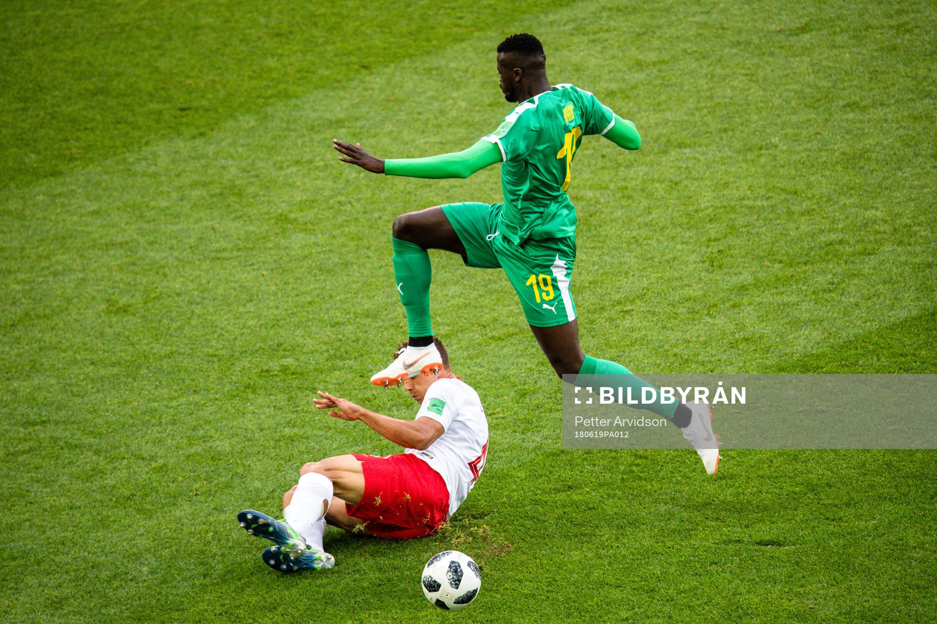 Thiago Cionek of Poland and Mbaye Niang of Senegal