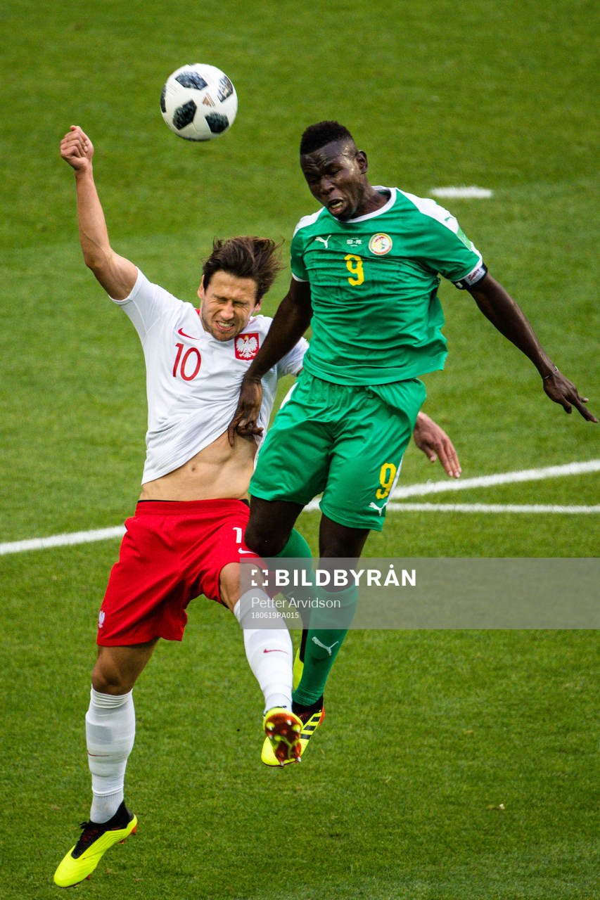 Grzegorz Krychowiak of Poland and Mame Diouf of Senegal