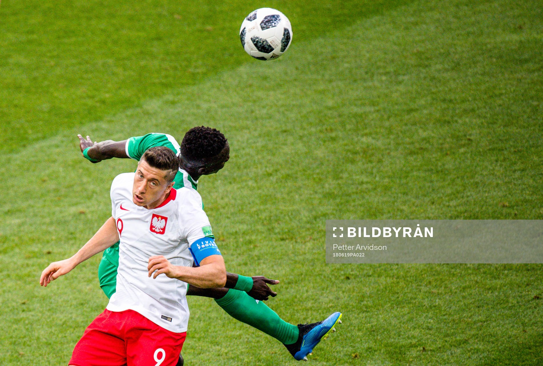 Robert Lewandowski of Poland and Idrissa Gana Gueye of