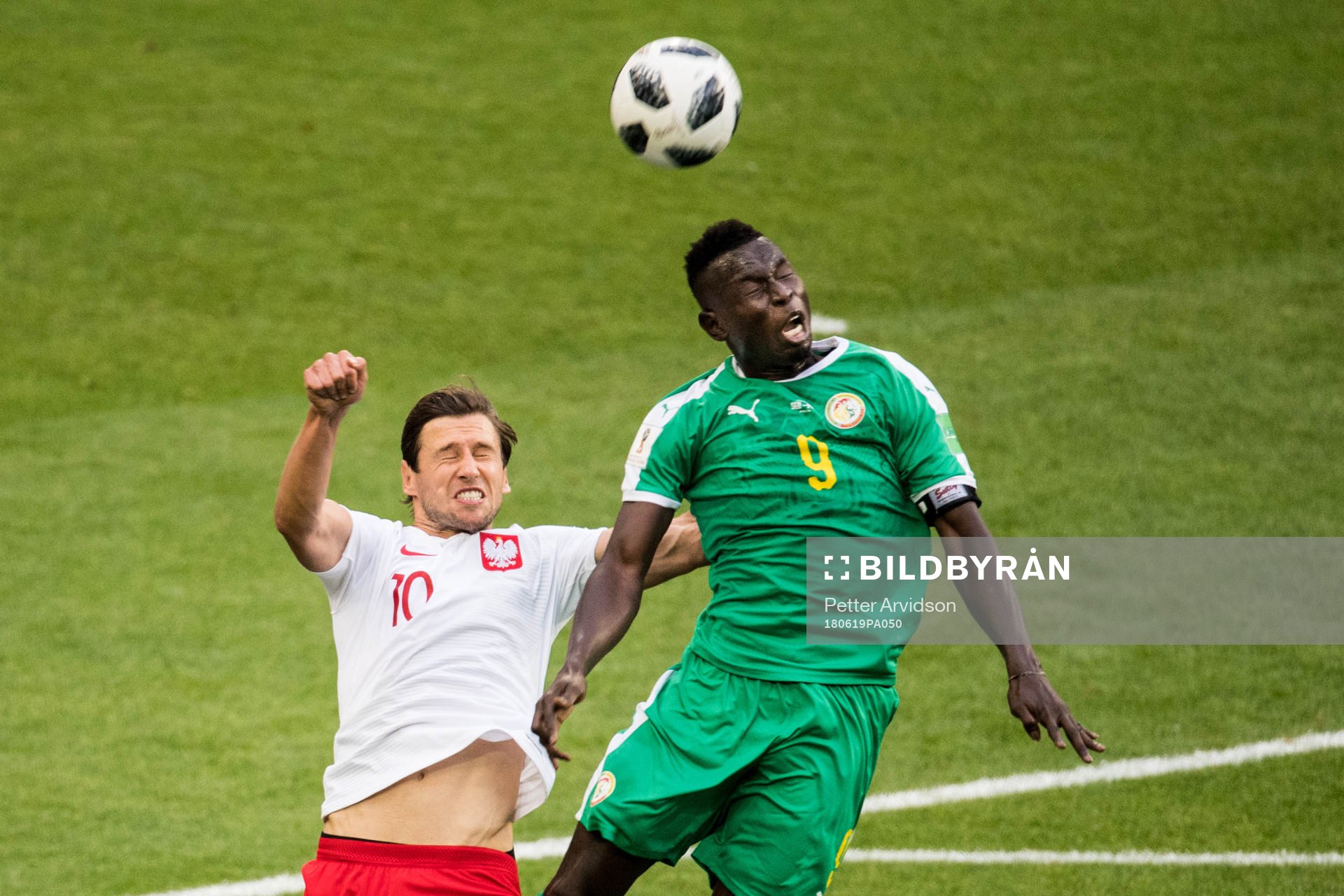 Grzegorz Krychowiak of Poland and Mame Diouf of Senegal