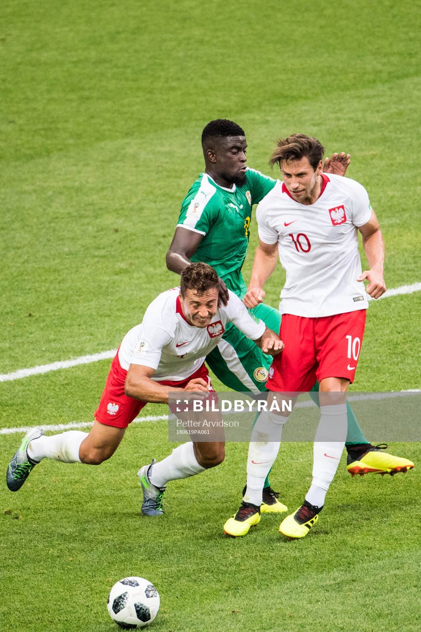 Thiago Cionek and Grzegorz Krychowiak of Poland in action