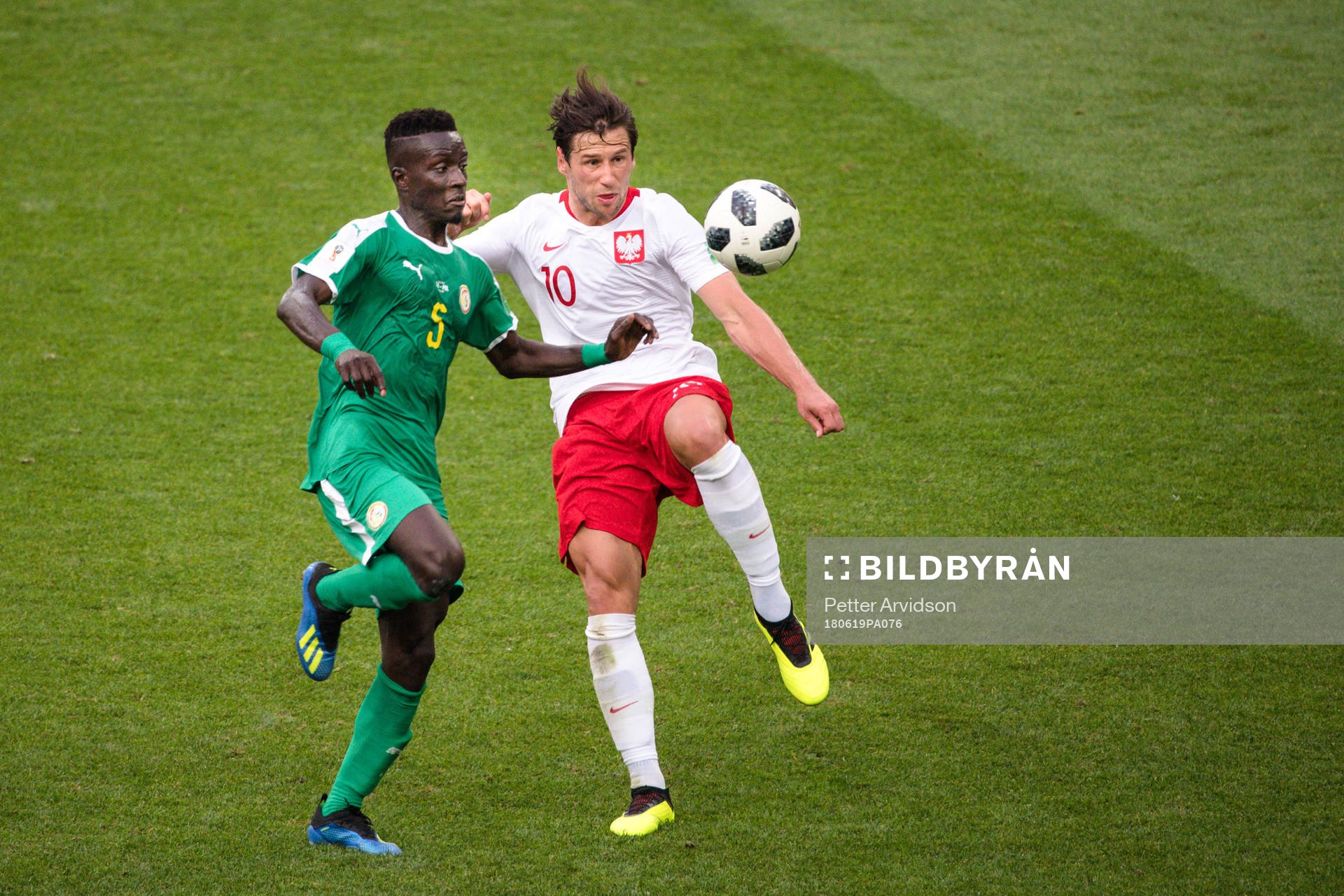 Idrissa Gana Gueye of Senegal and Grzegorz Krychowiak of