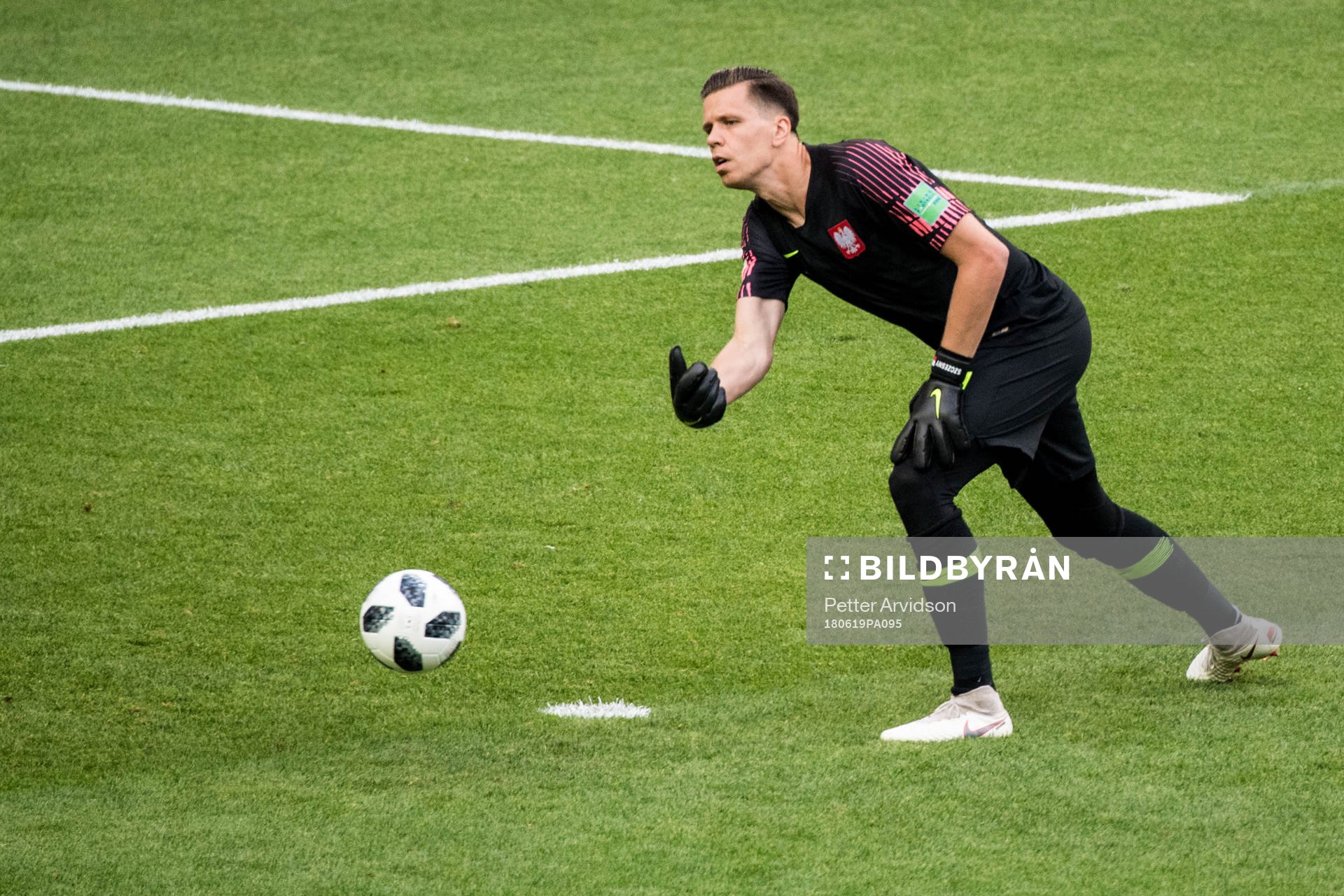 Goalkeeper Wojciech Szczesny of Poland