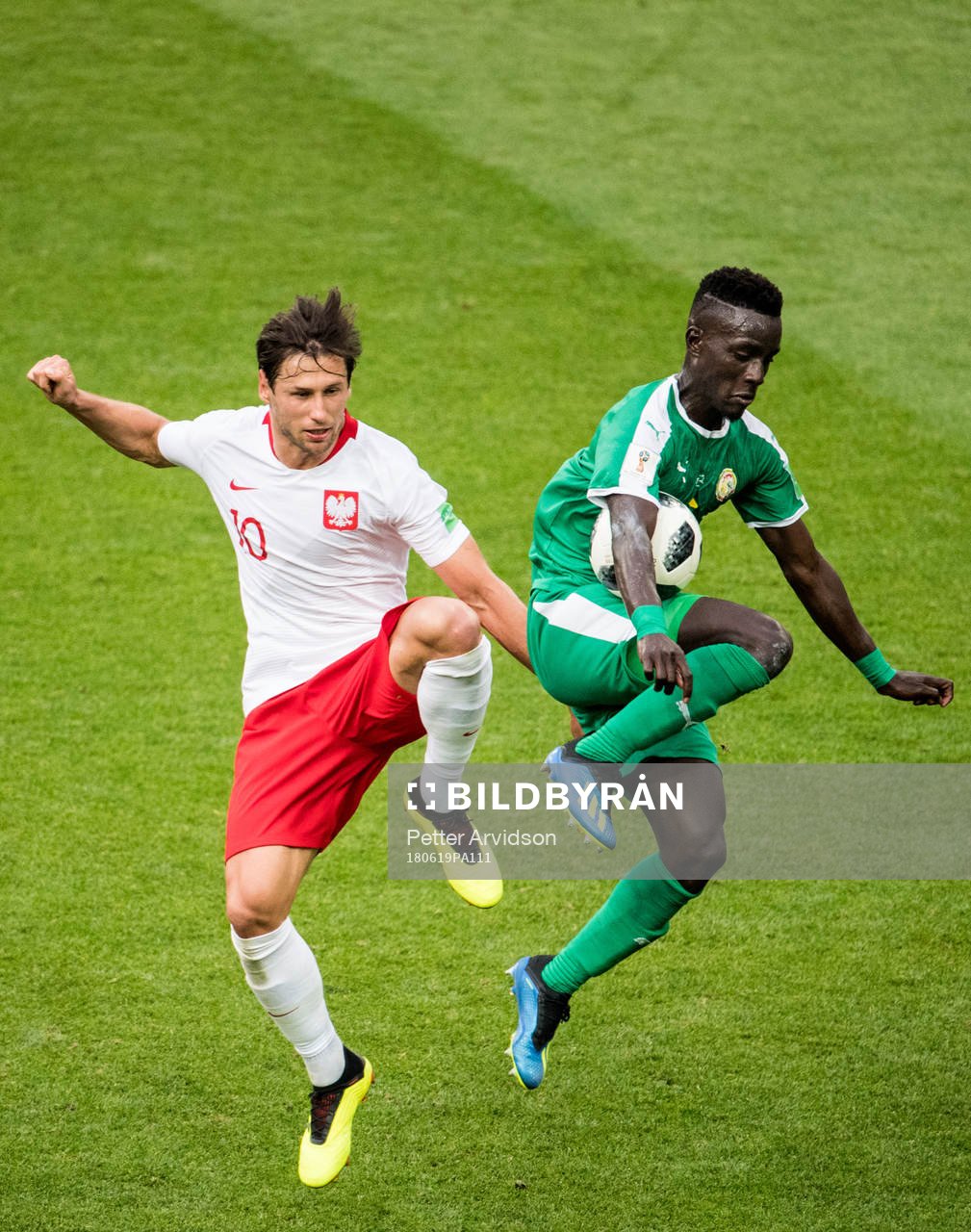 Grzegorz Krychowiak of Poland and Idrissa Gana Gueye of