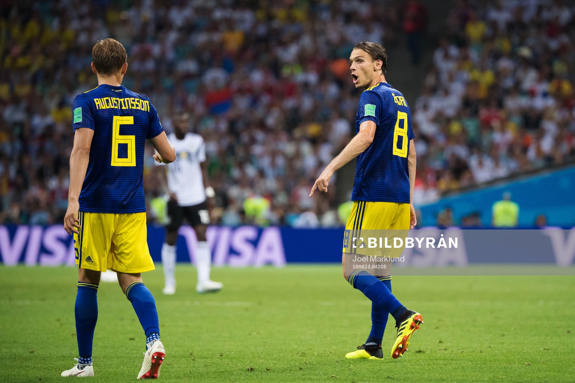 Ludwig Augustinsson and Albin Ekdal of Sweden