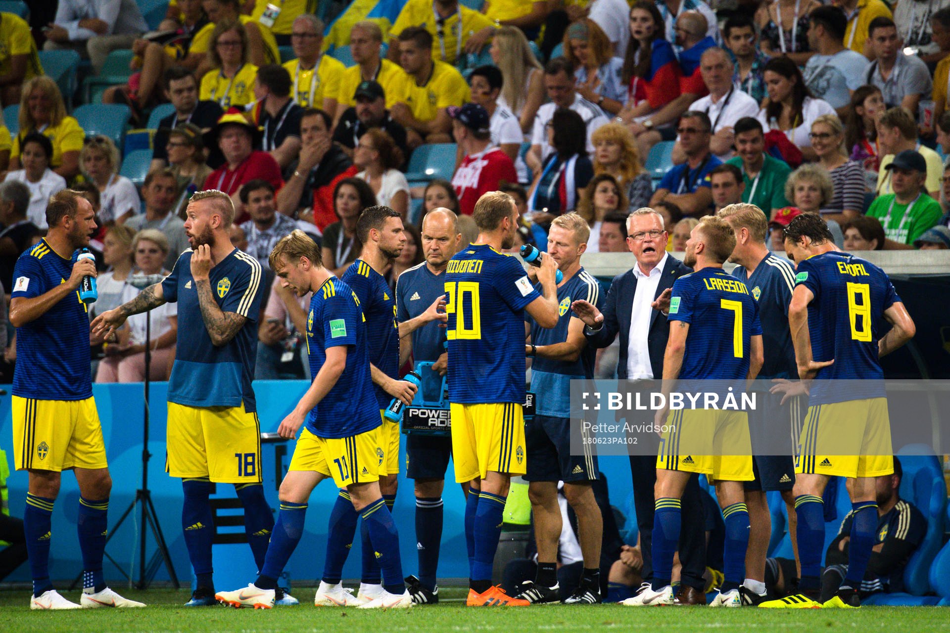 head coach Janne Andersson of Sweden with the players