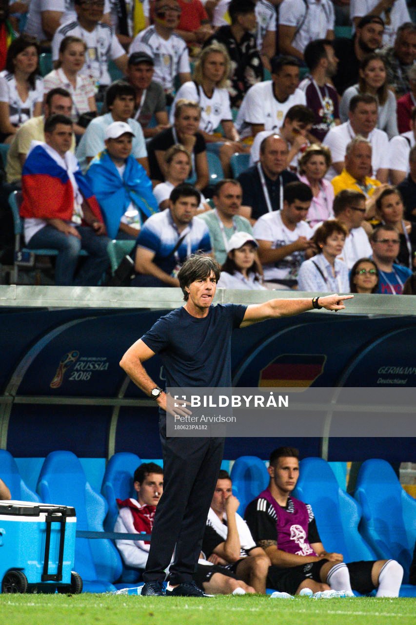 Head coach Joachim Löw of Germany