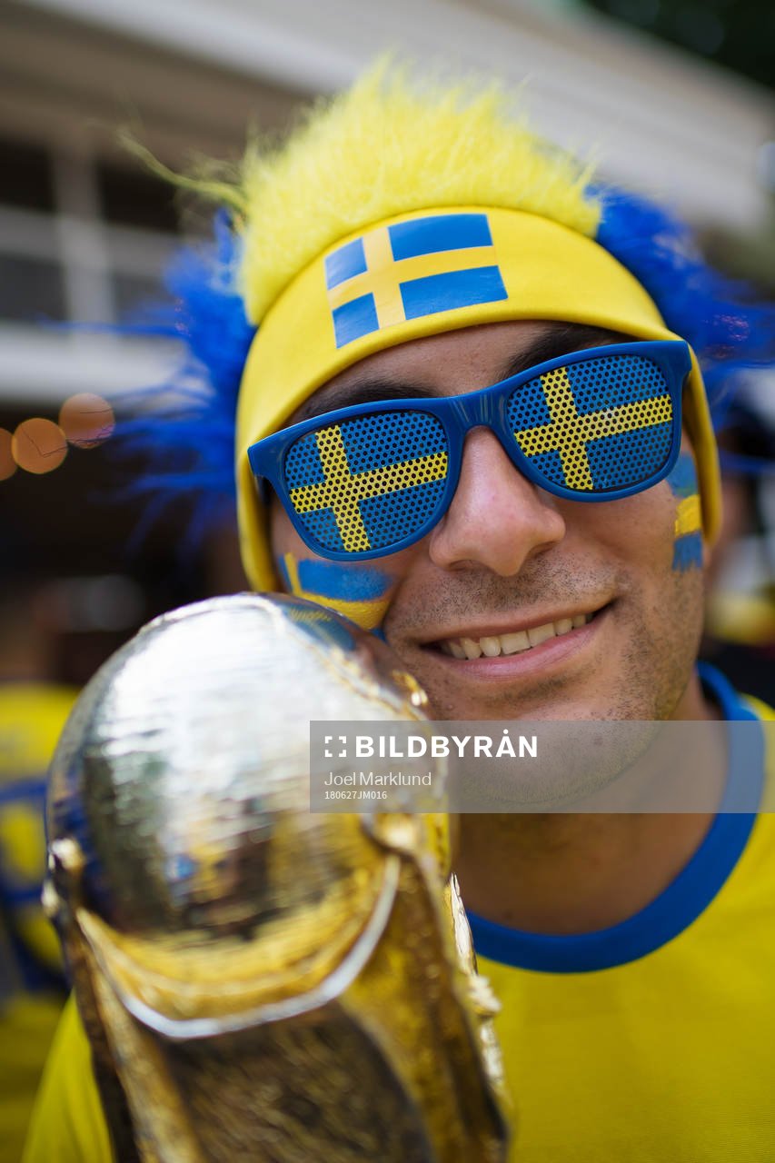 A Swedish fan