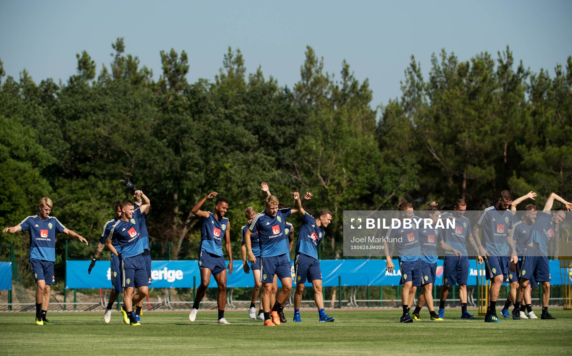 Players of the Swedish national football team