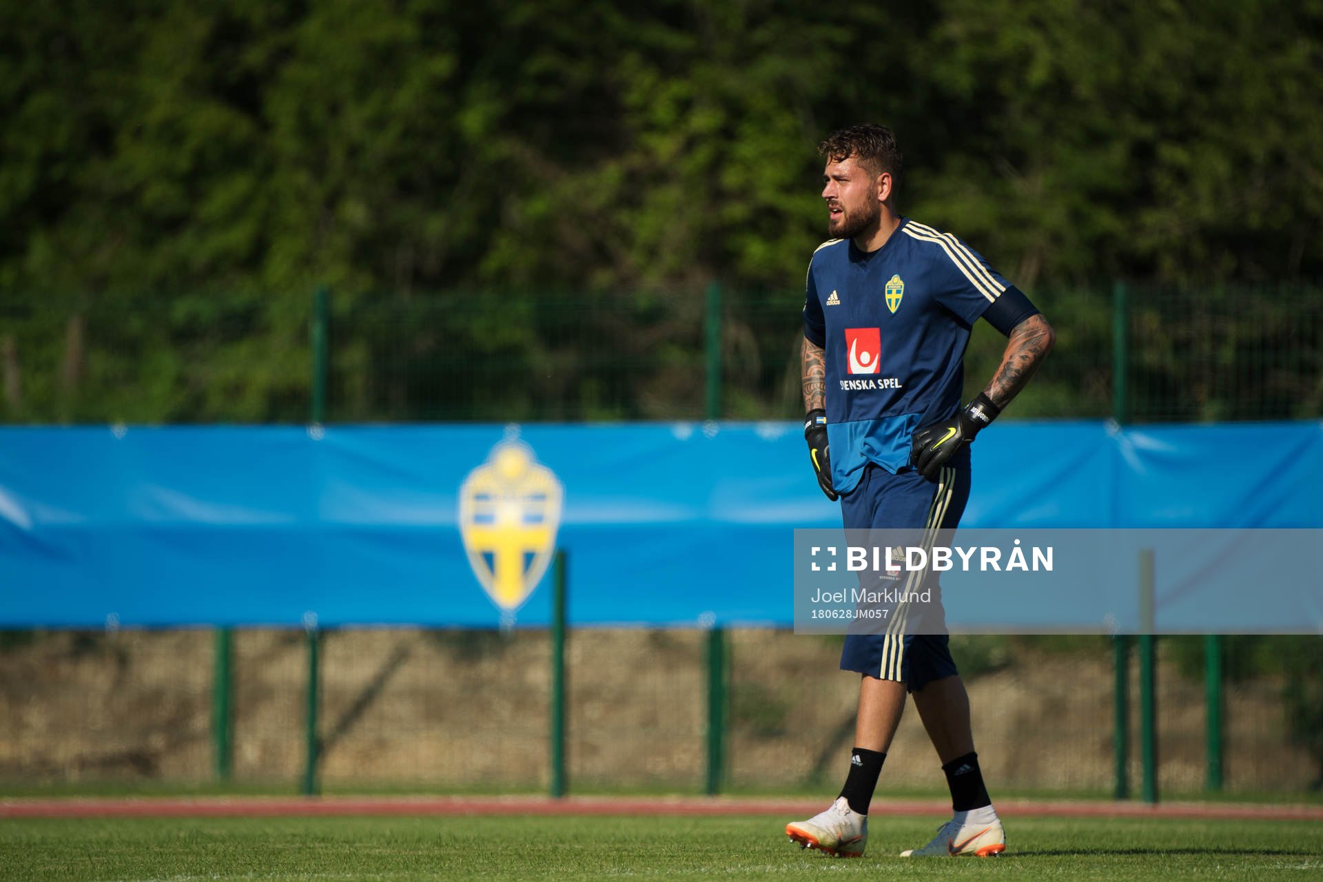 Goalkeeper Kristoffer Nordfeldt of the Swedish national
