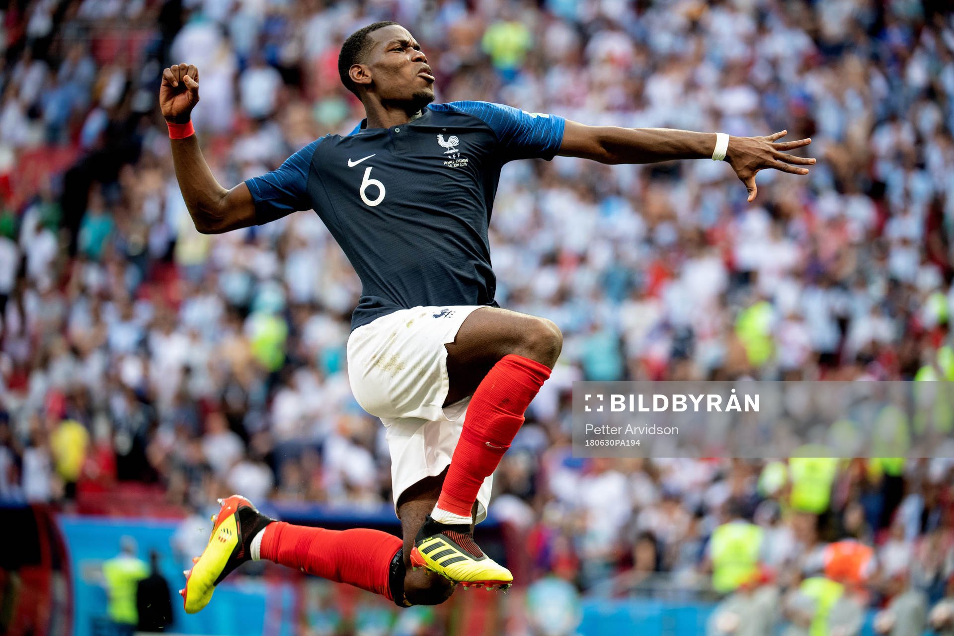 Paul Pogba of France celebrates