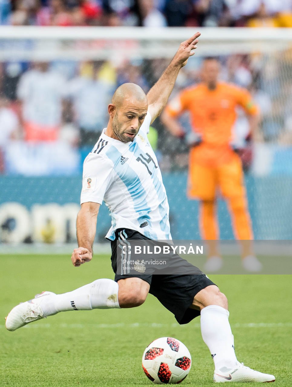 Javier Mascherano of Argentina