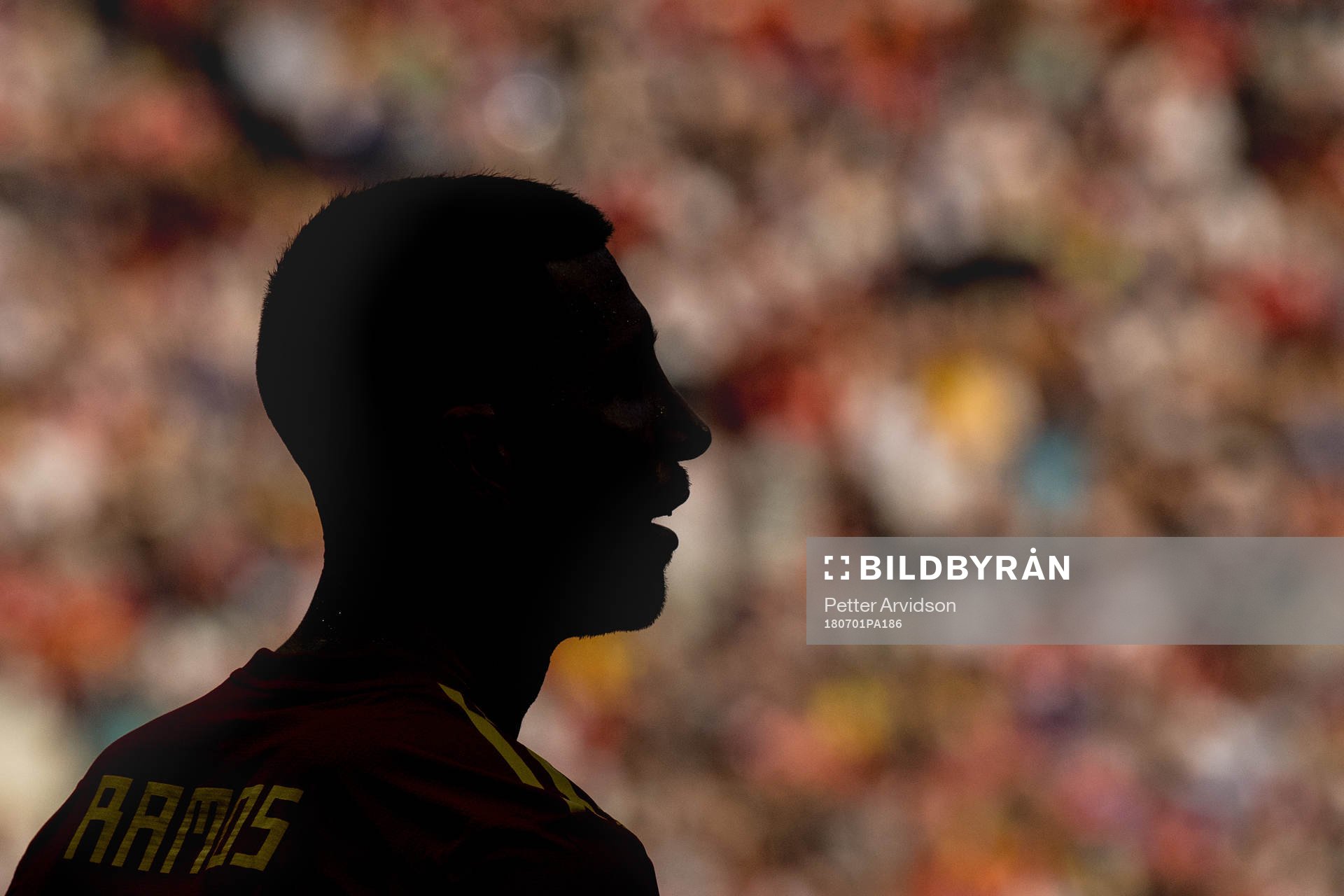 Sergio Ramos of Spain