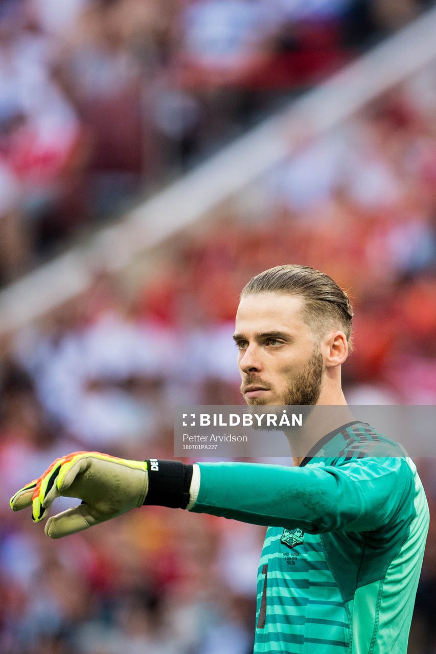 Goalkeeper David De Gea of Spain