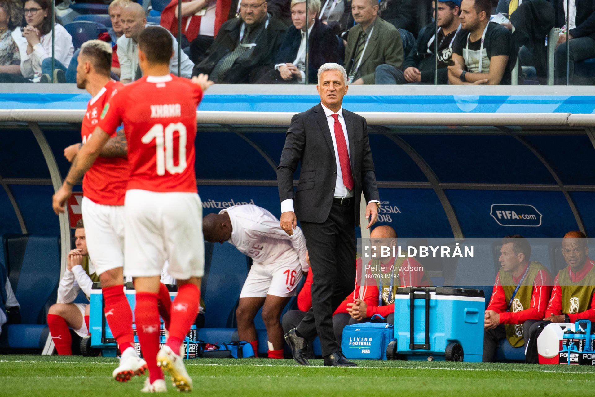 Head coach Vladimir Petkovic