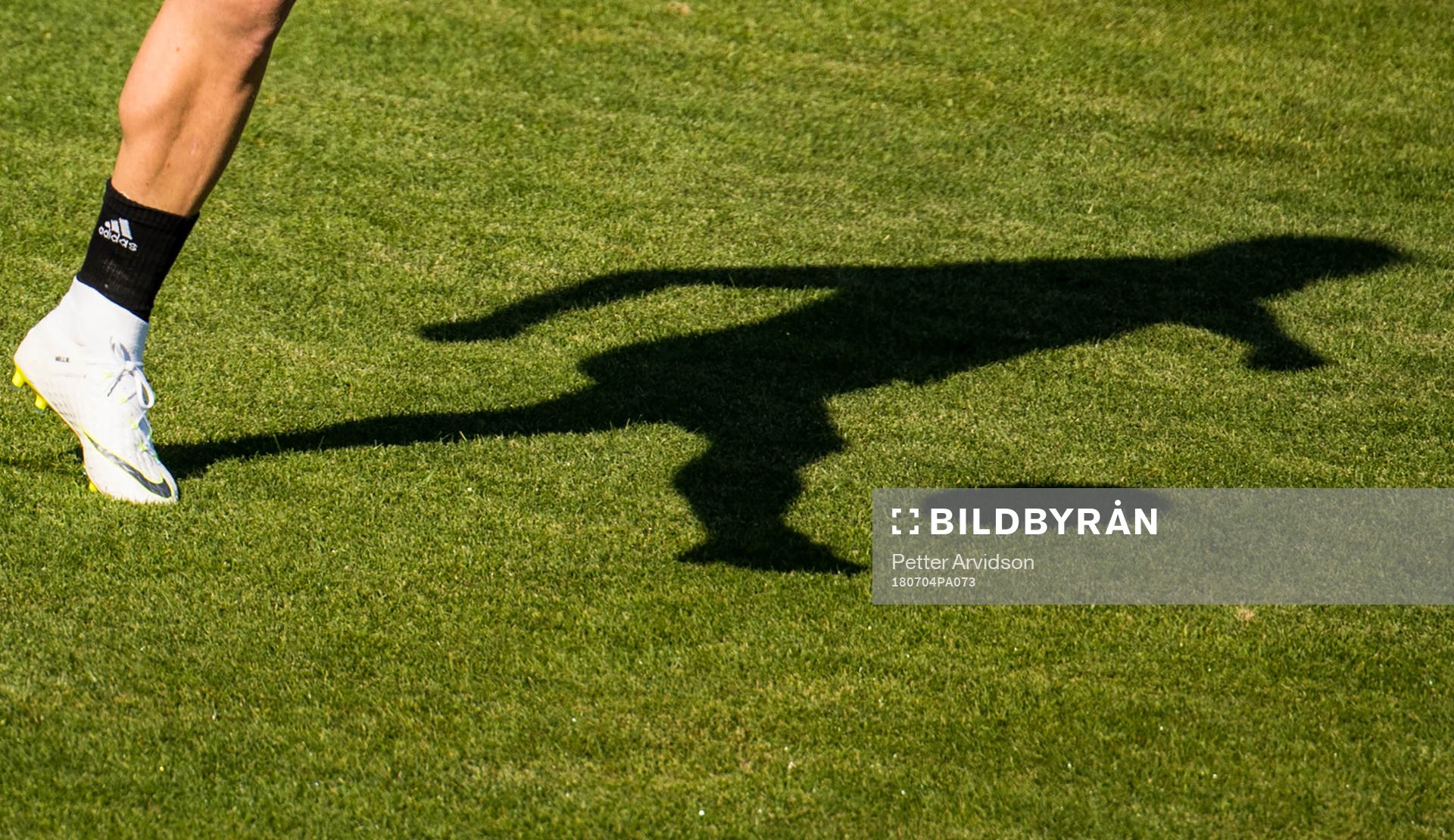 The shadow of John Guidetti of the Swedish national