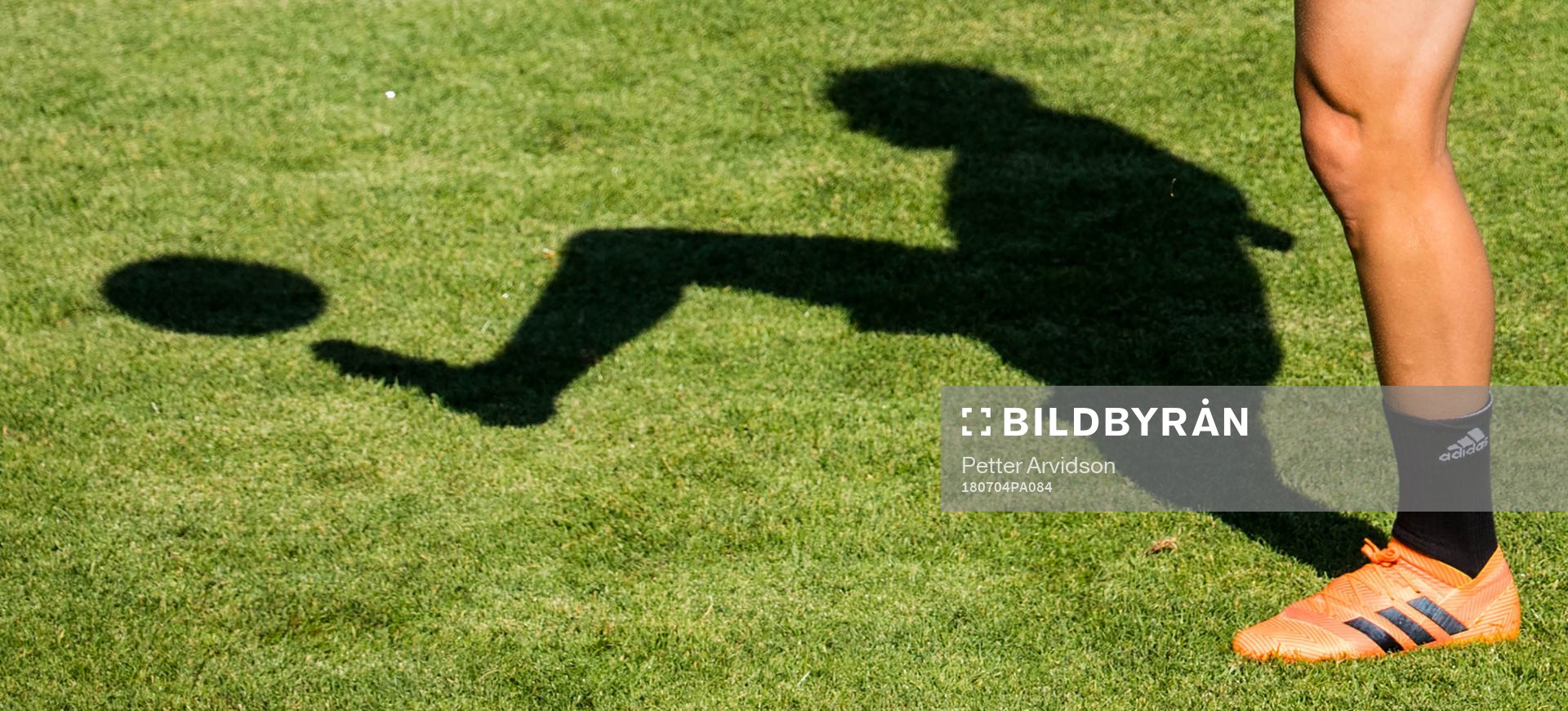 The shadow of Oscar Hiljemark of the Swedish national