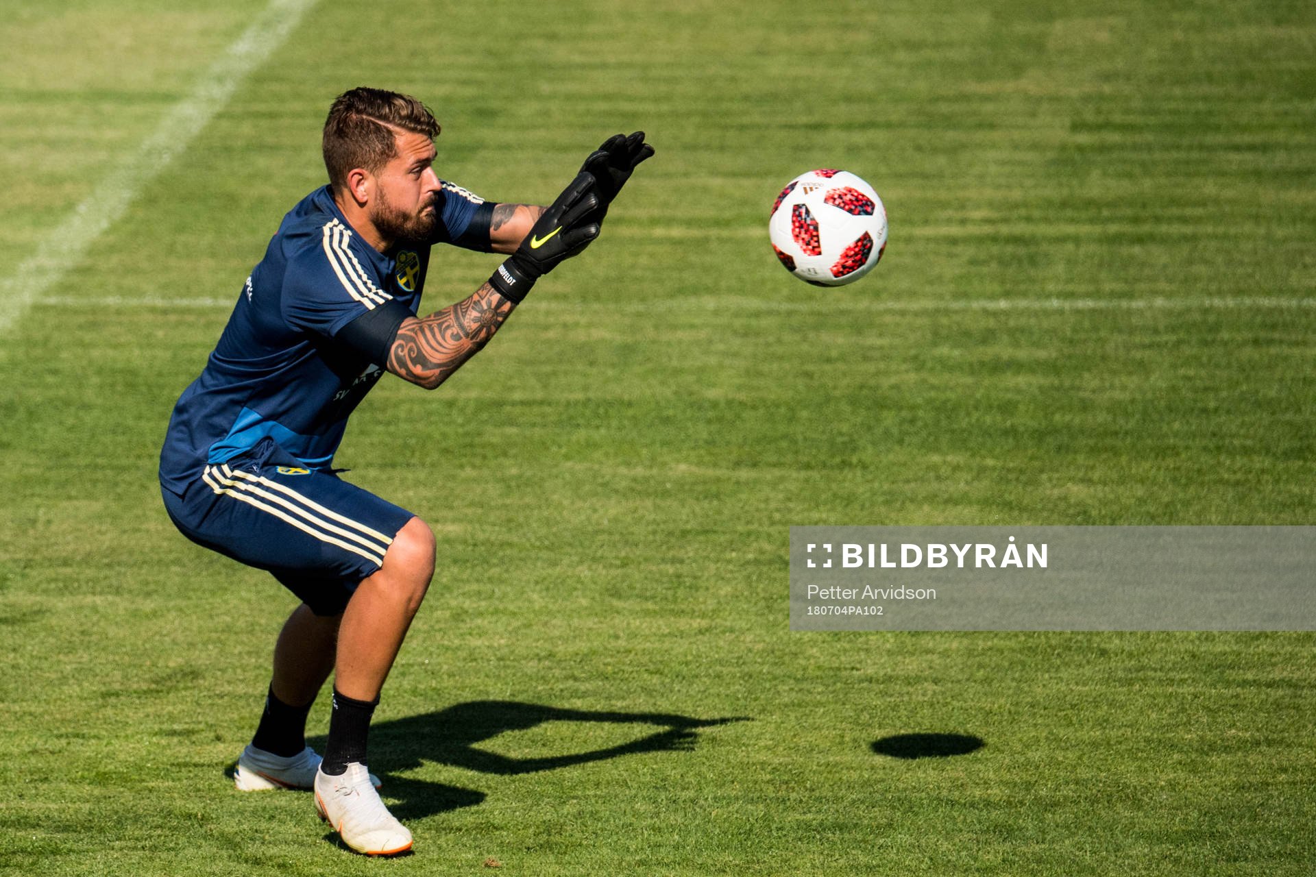 Goalkeeper Kristoffer Nordfeldt of the Swedish national