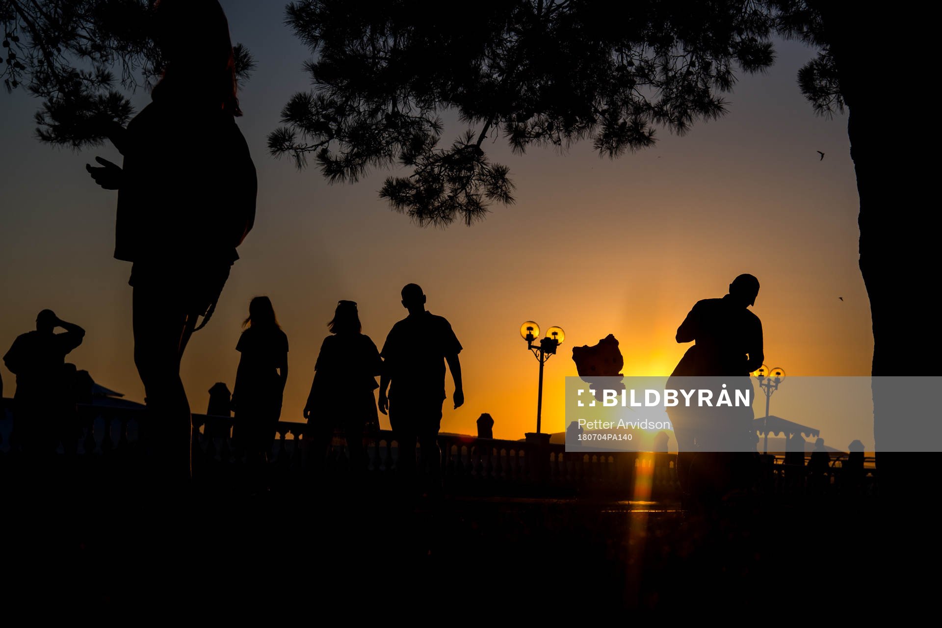 People walks in the sunset
