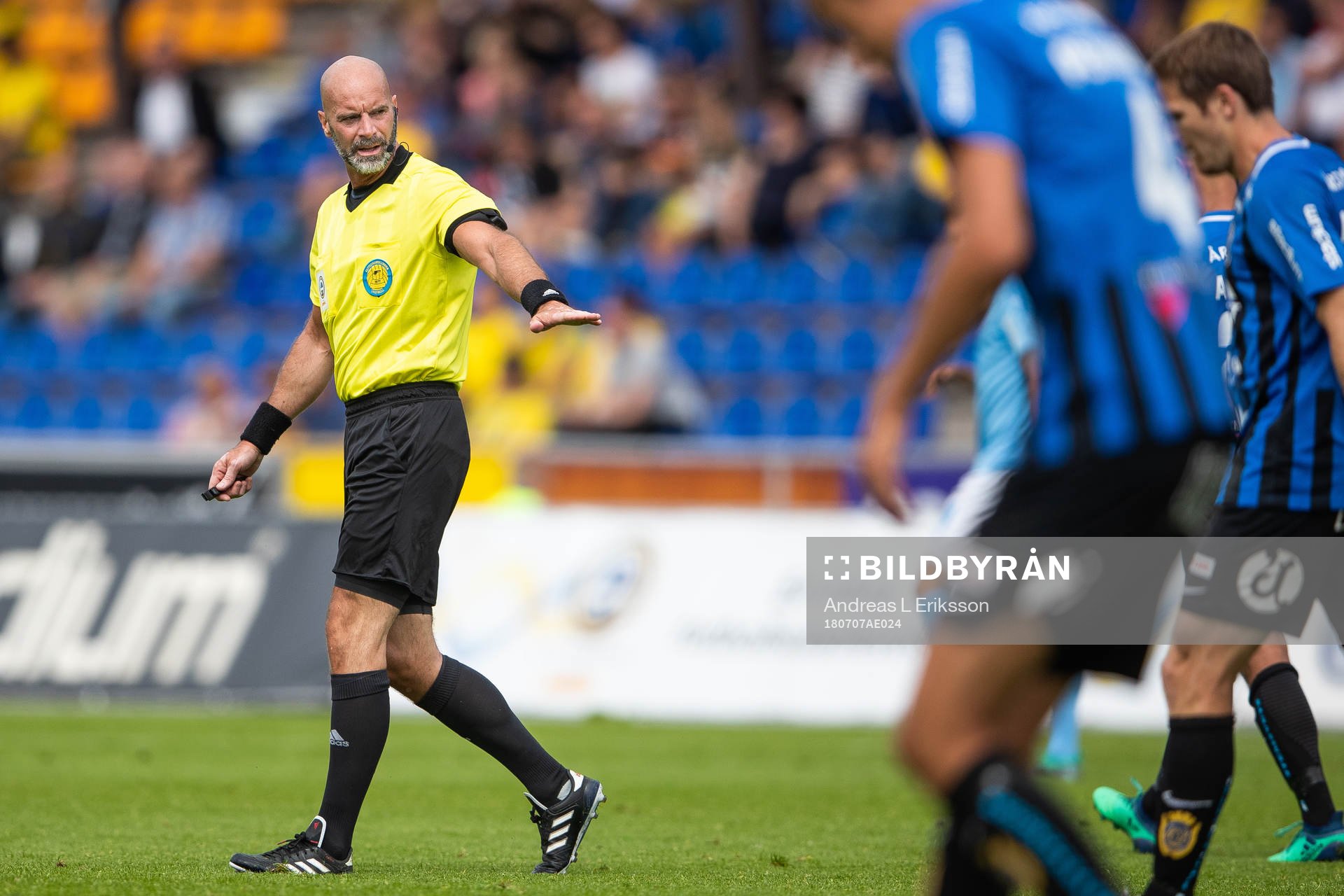 Domare Stefan Johannesson