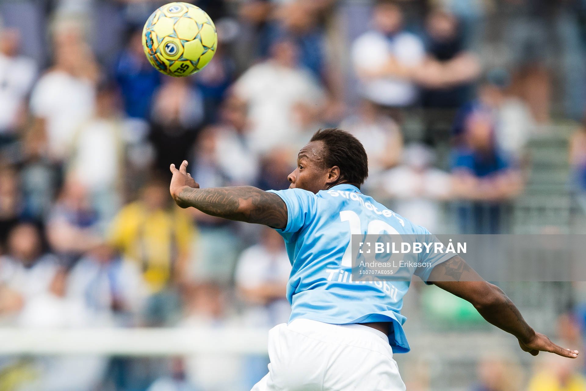 Malmö FFs Carlos Strandberg