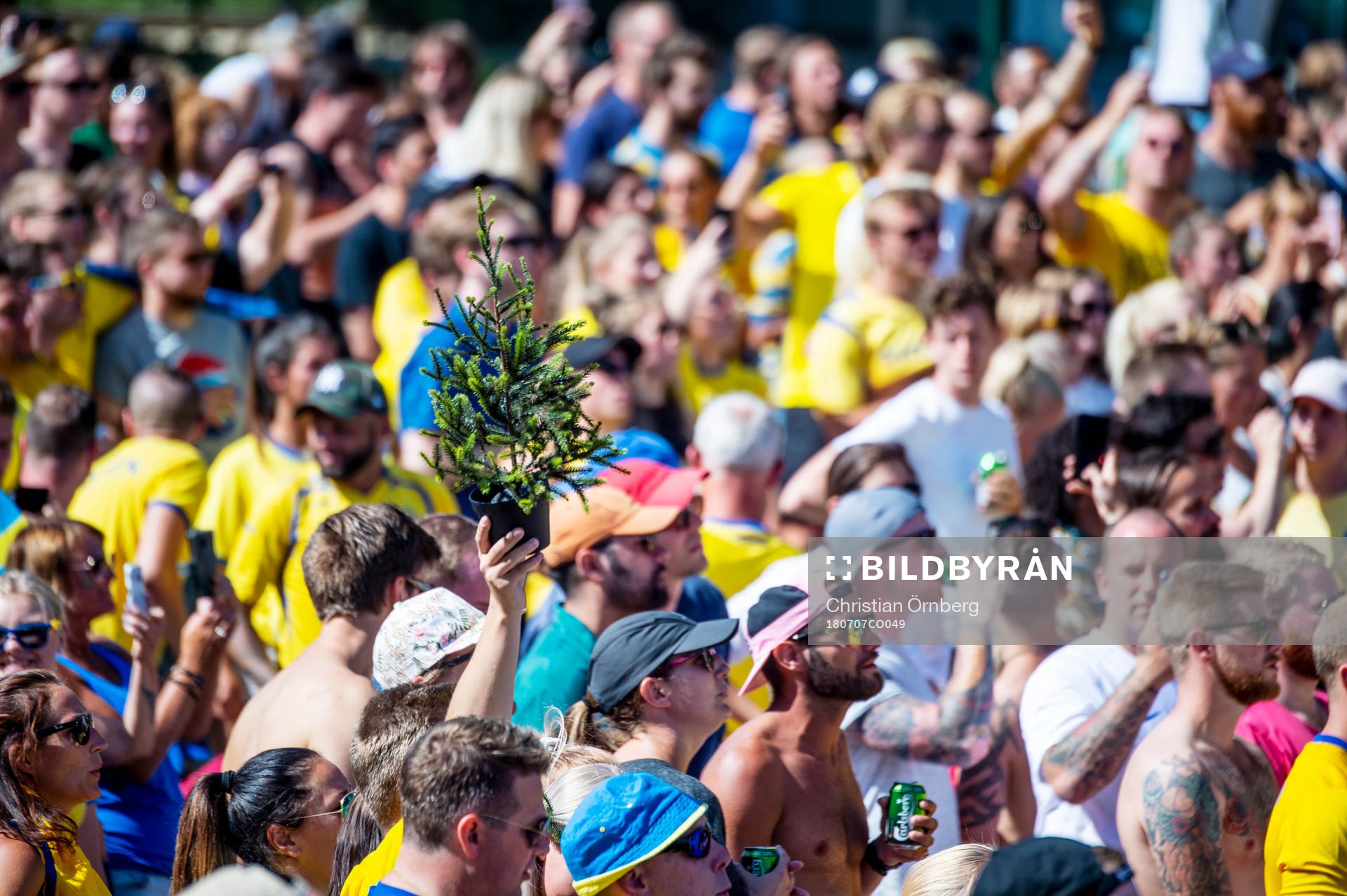 En gran bland supportrarna som följer matchen mellan