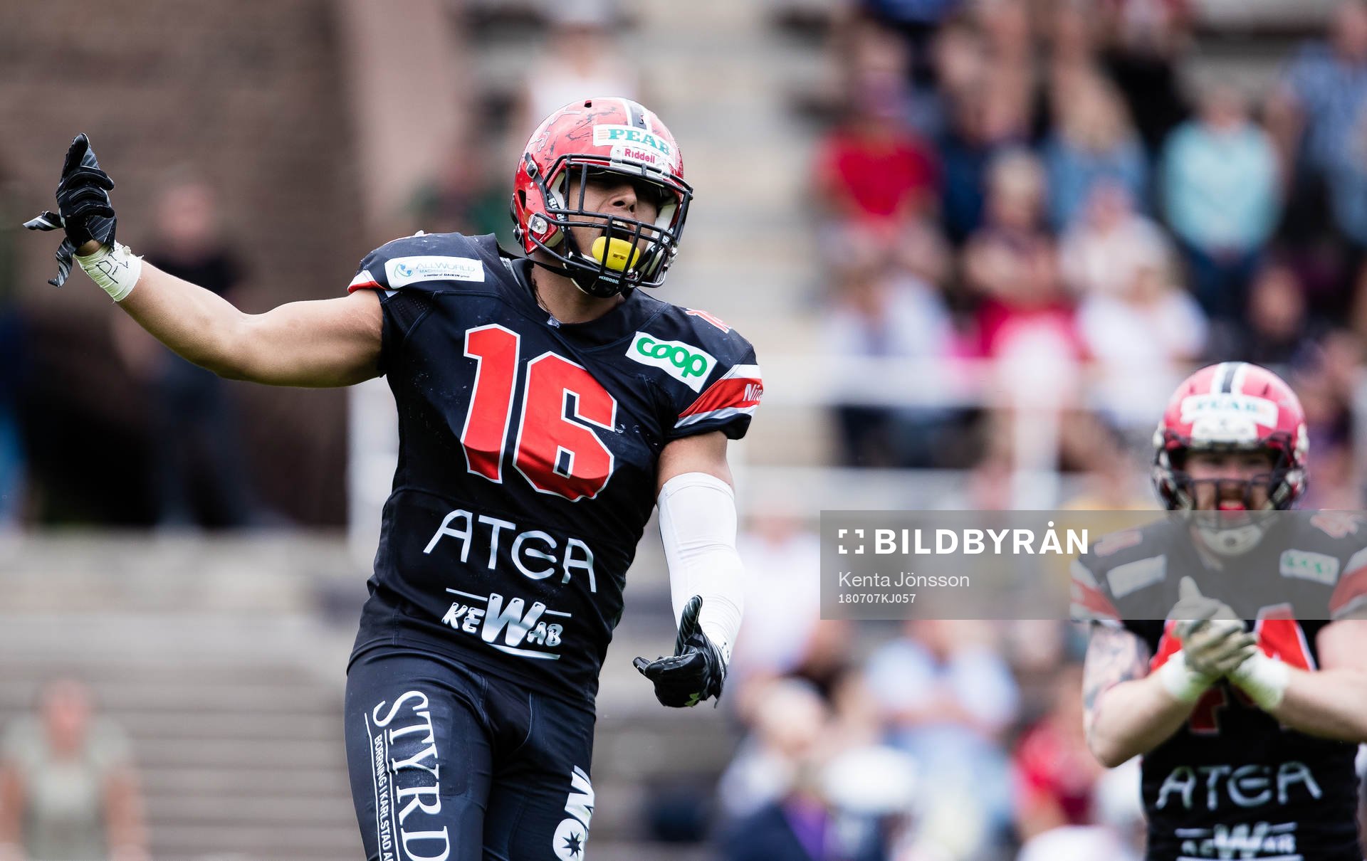 Carlstad Crusaders Josh Hill jublar