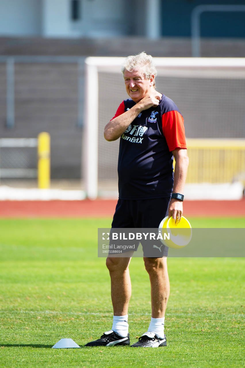 tränare Roy Hodgson