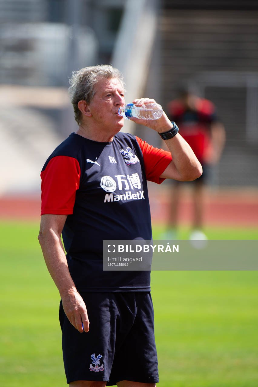 tränare Roy Hodgson