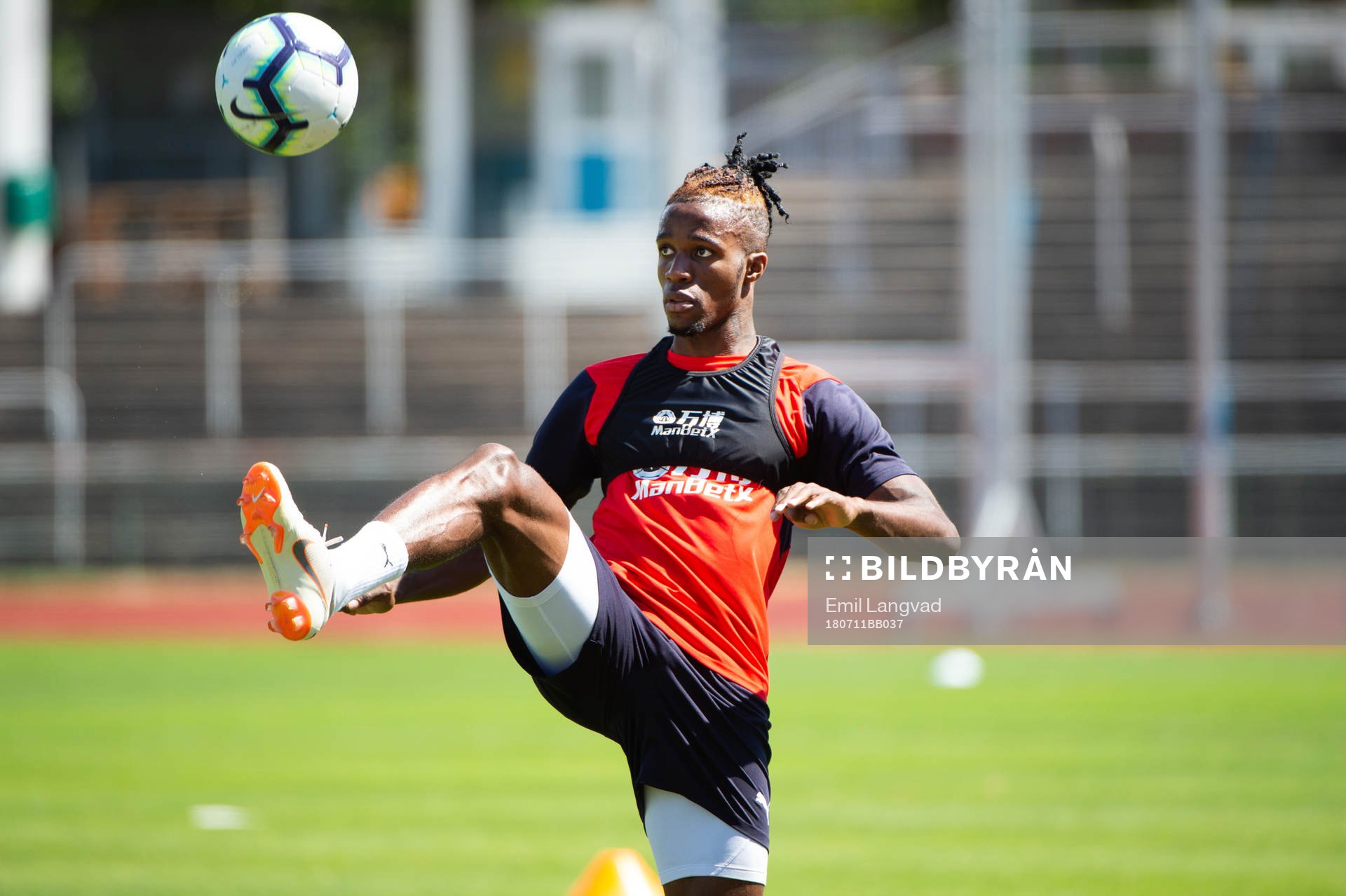 Wilfried Zaha