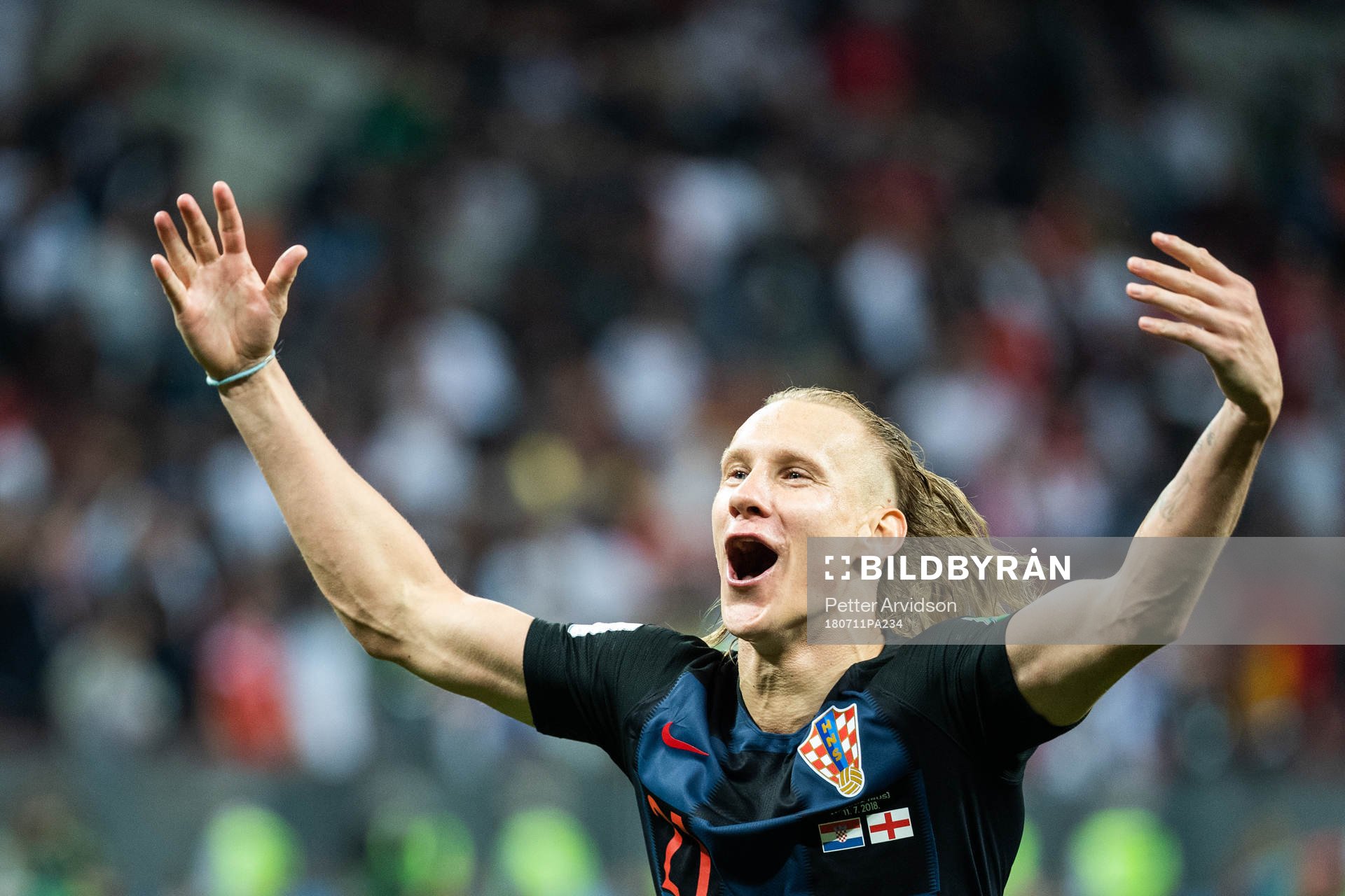Domagoj Vida of Croatia celebrate