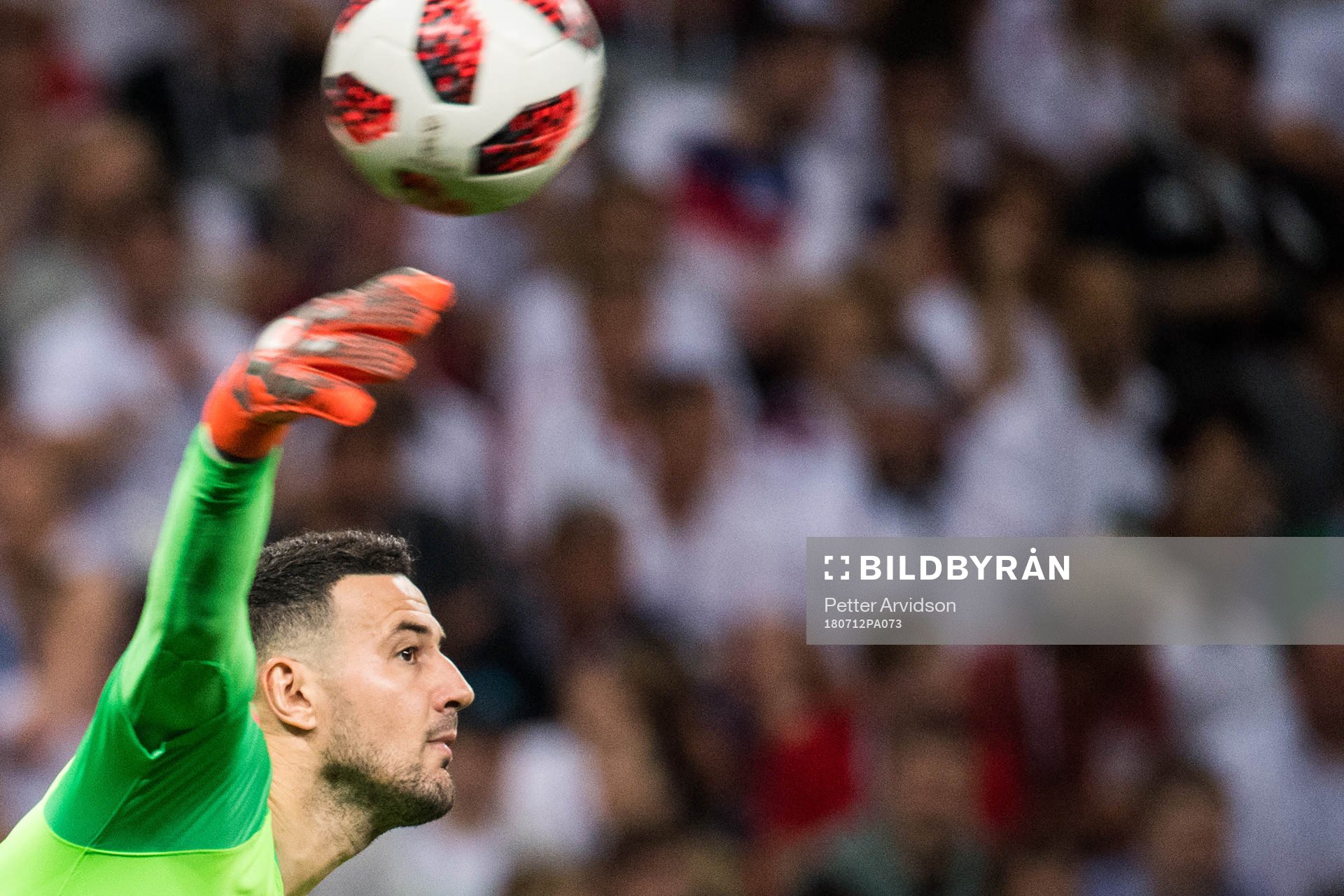 Goalkeeper Danijel Subasic of Croatia