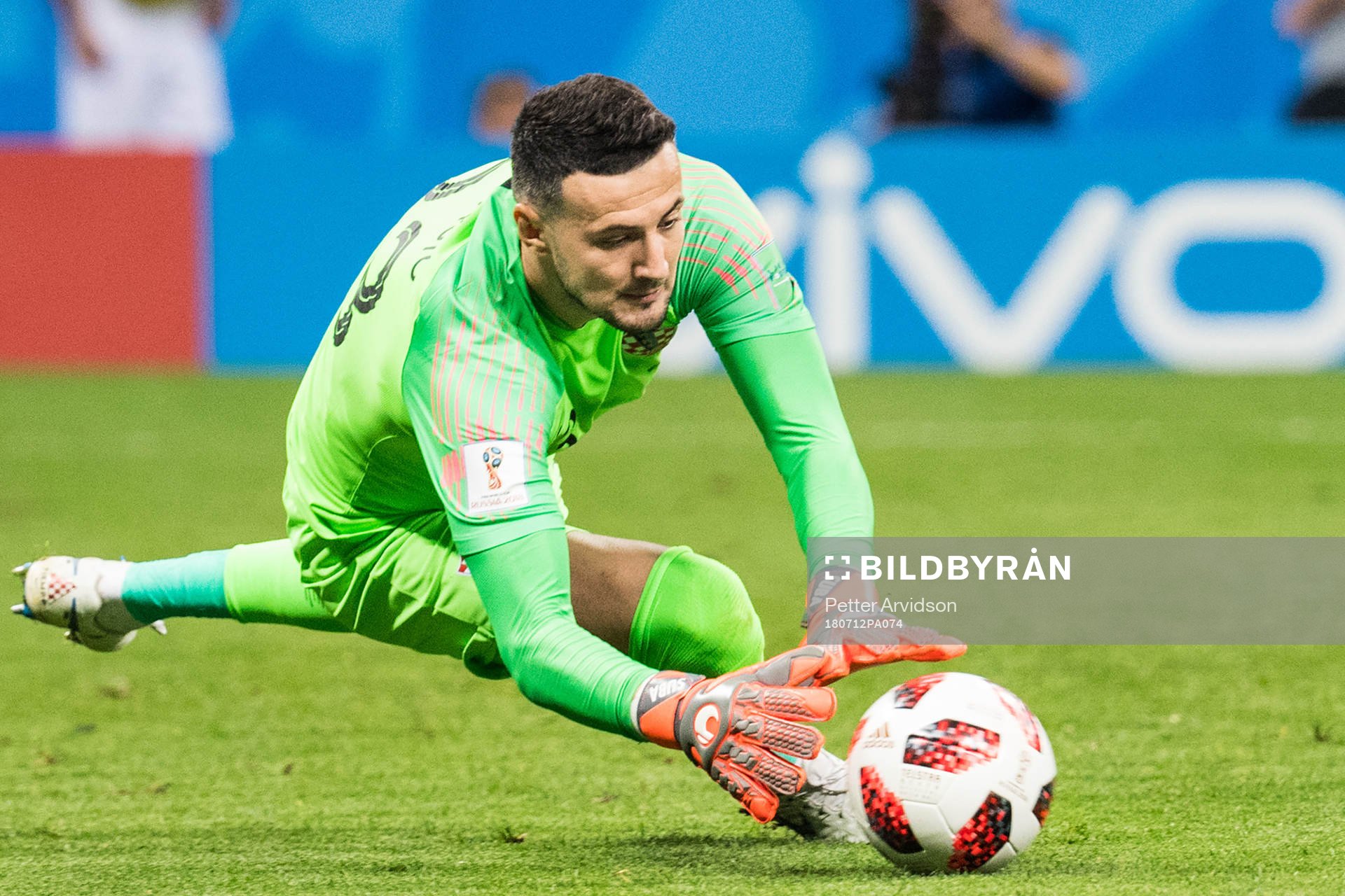 Goalkeeper Danijel Subasic of Croatia
