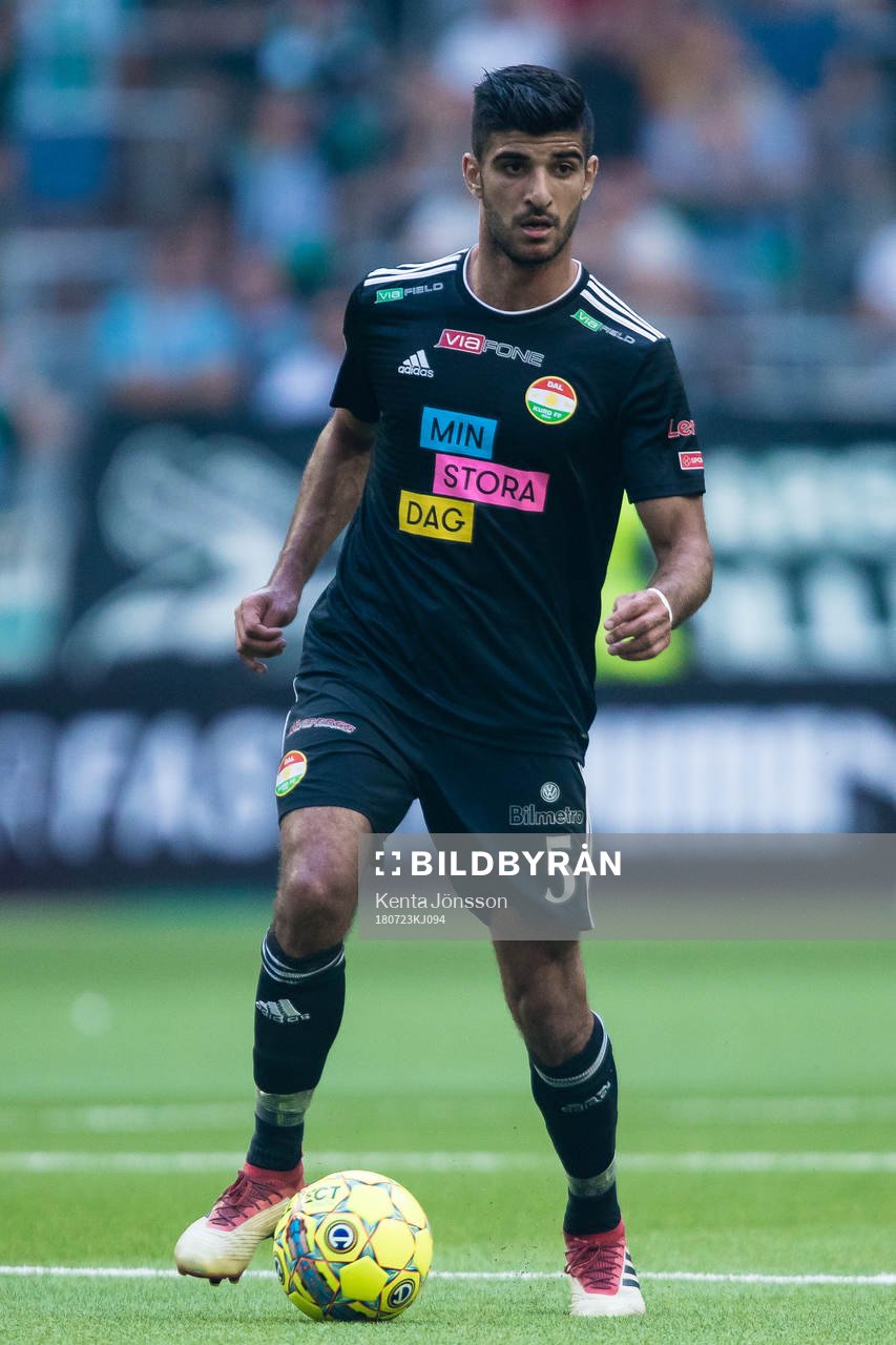 Dalkurds Rewan Amin