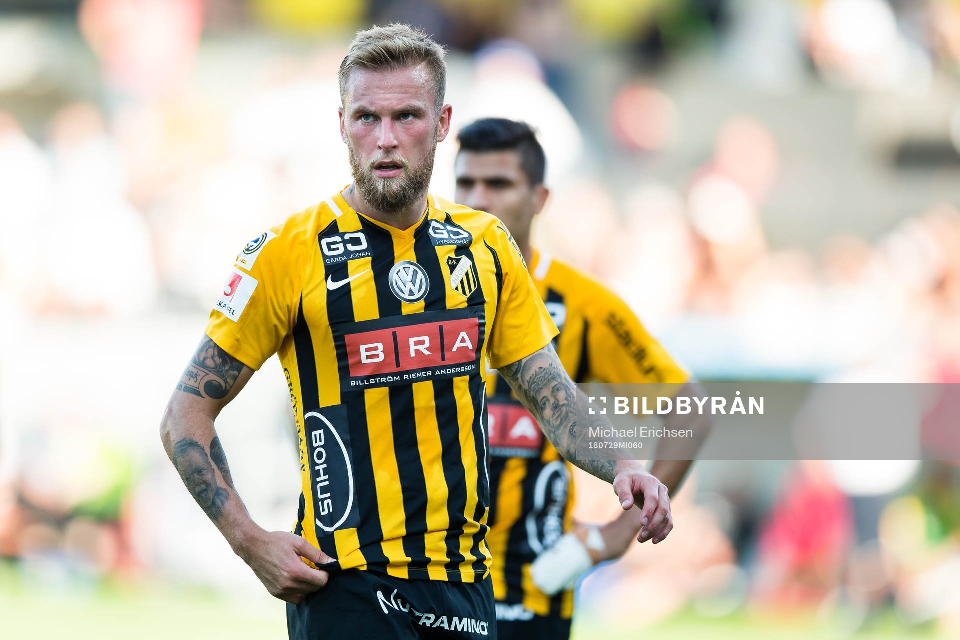 Häckens Alexander Faltsetas