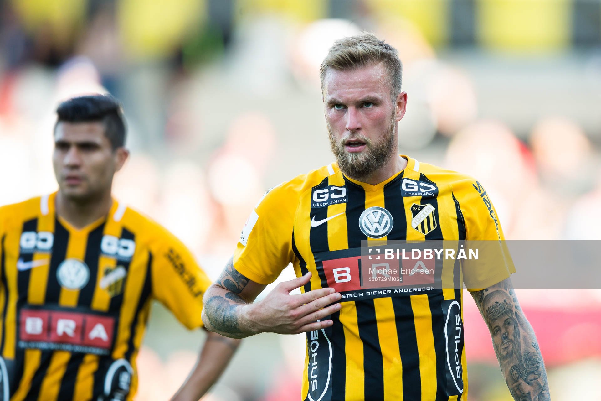 Häckens Alexander Faltsetas