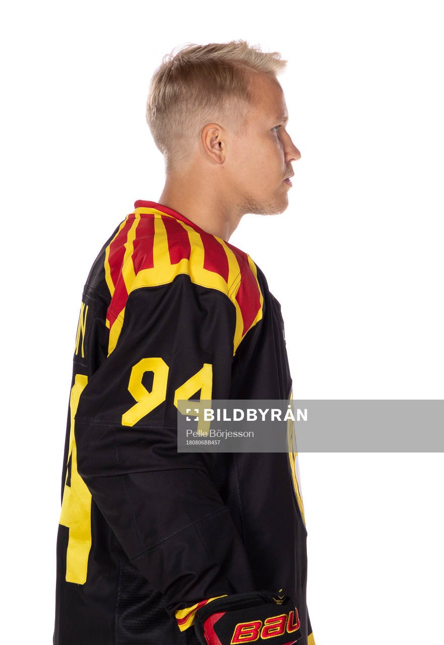 Brynäs Henrik Larsson