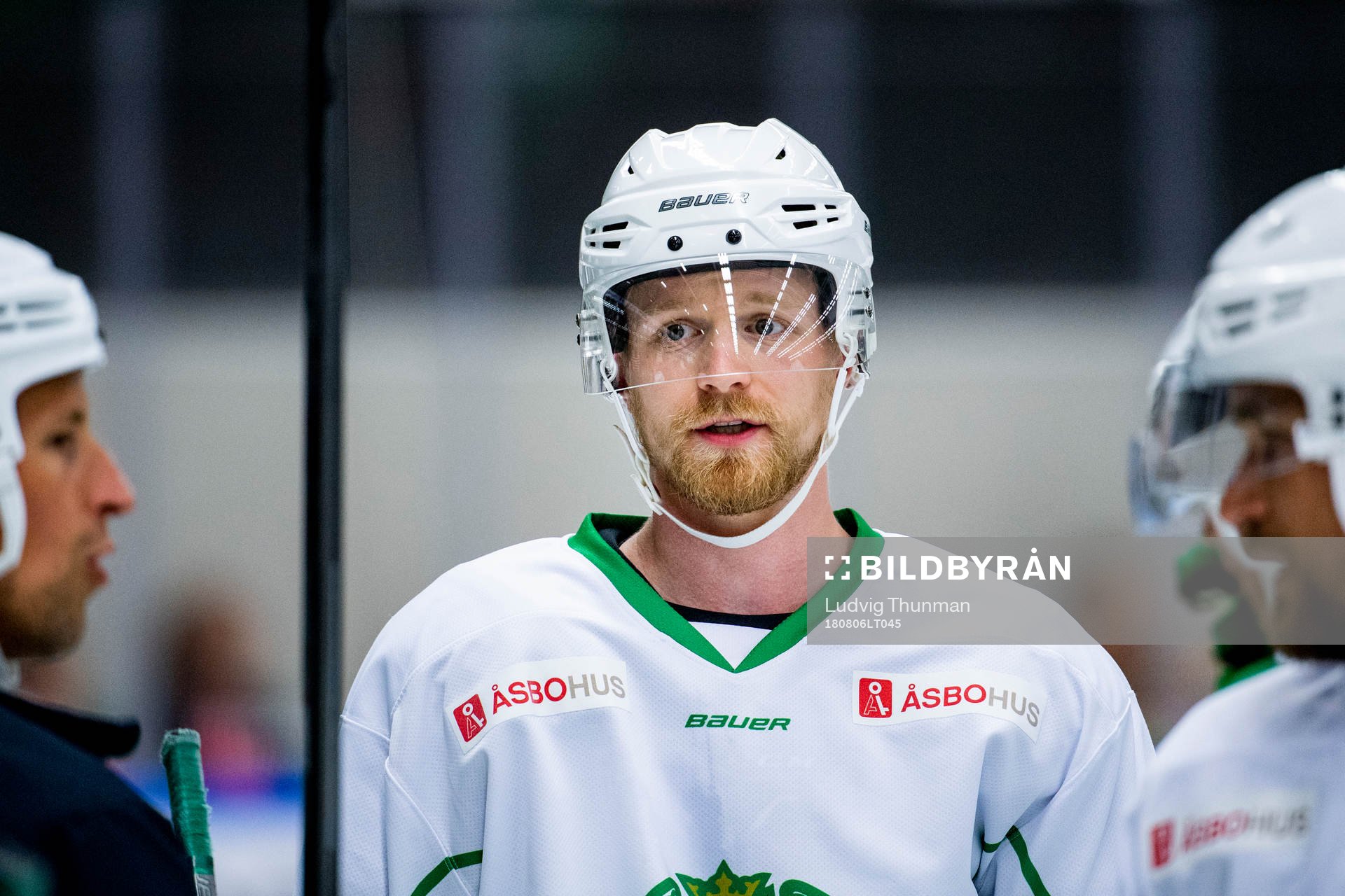Ted Brithén