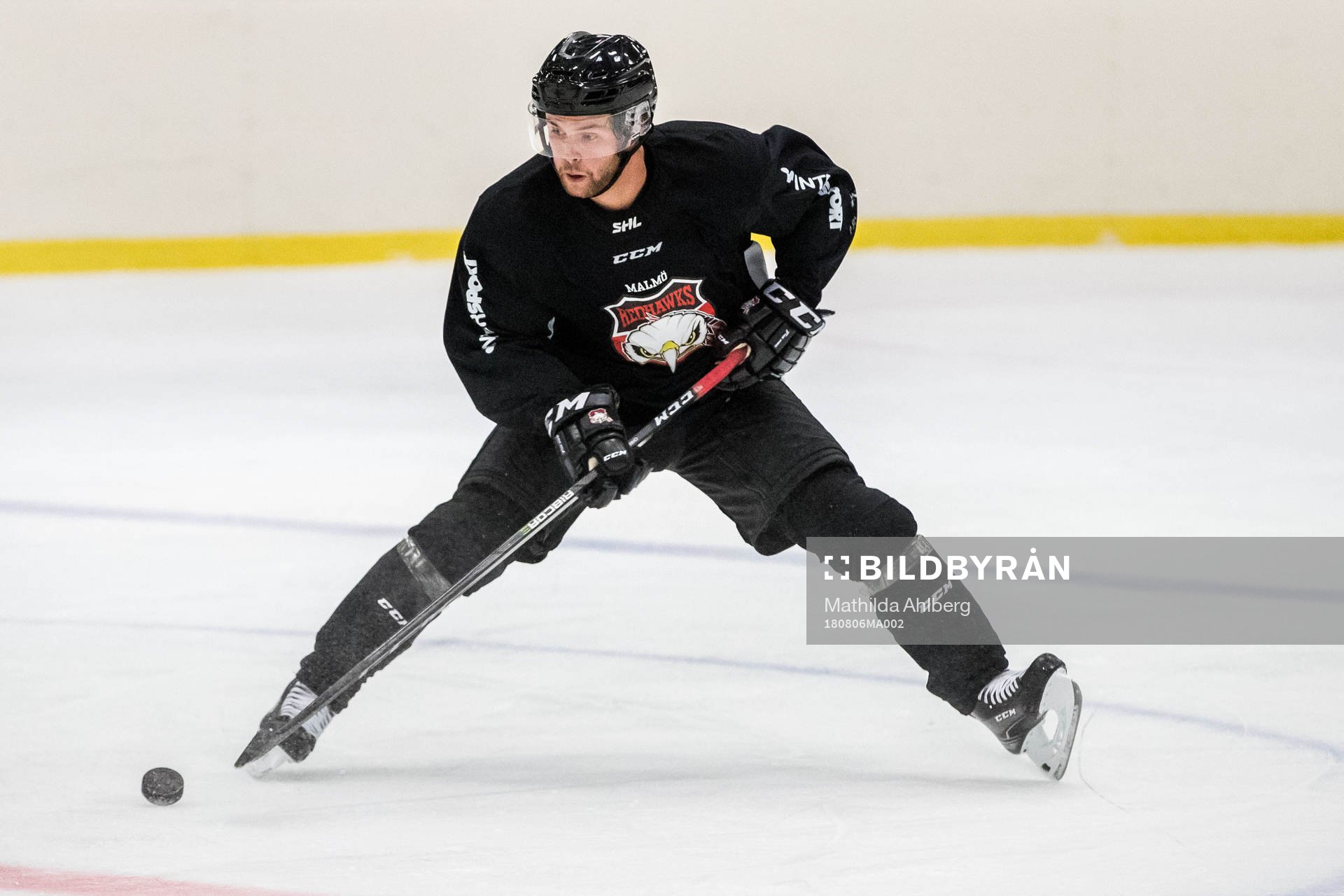 Malmö Redhawks Anton Öhman