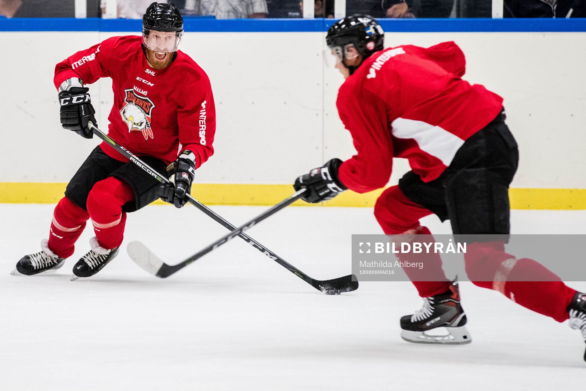 Malmö Redhawks Jens Olsson