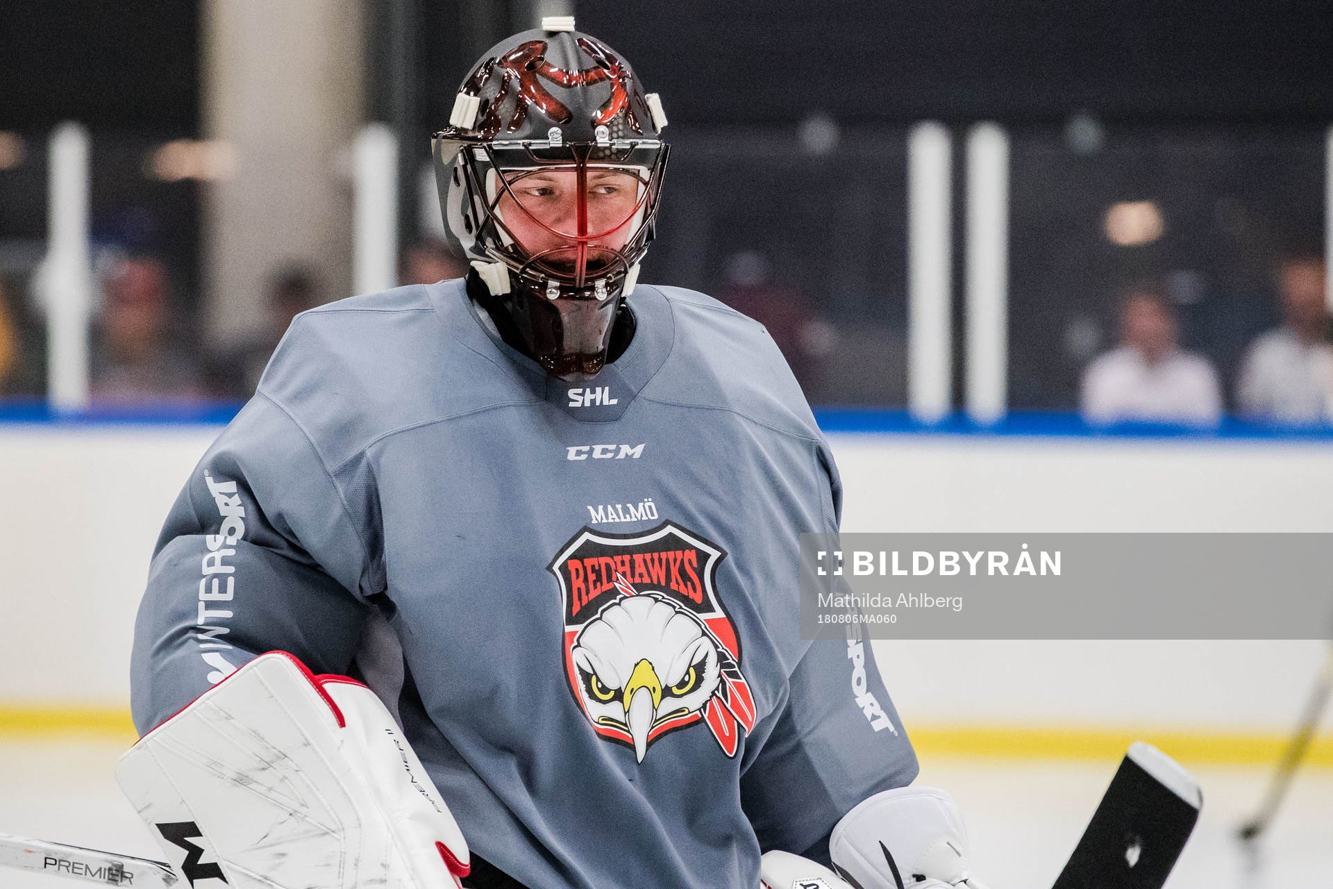 Malmö Redhawks målvakt Oscar Alsenfelt
