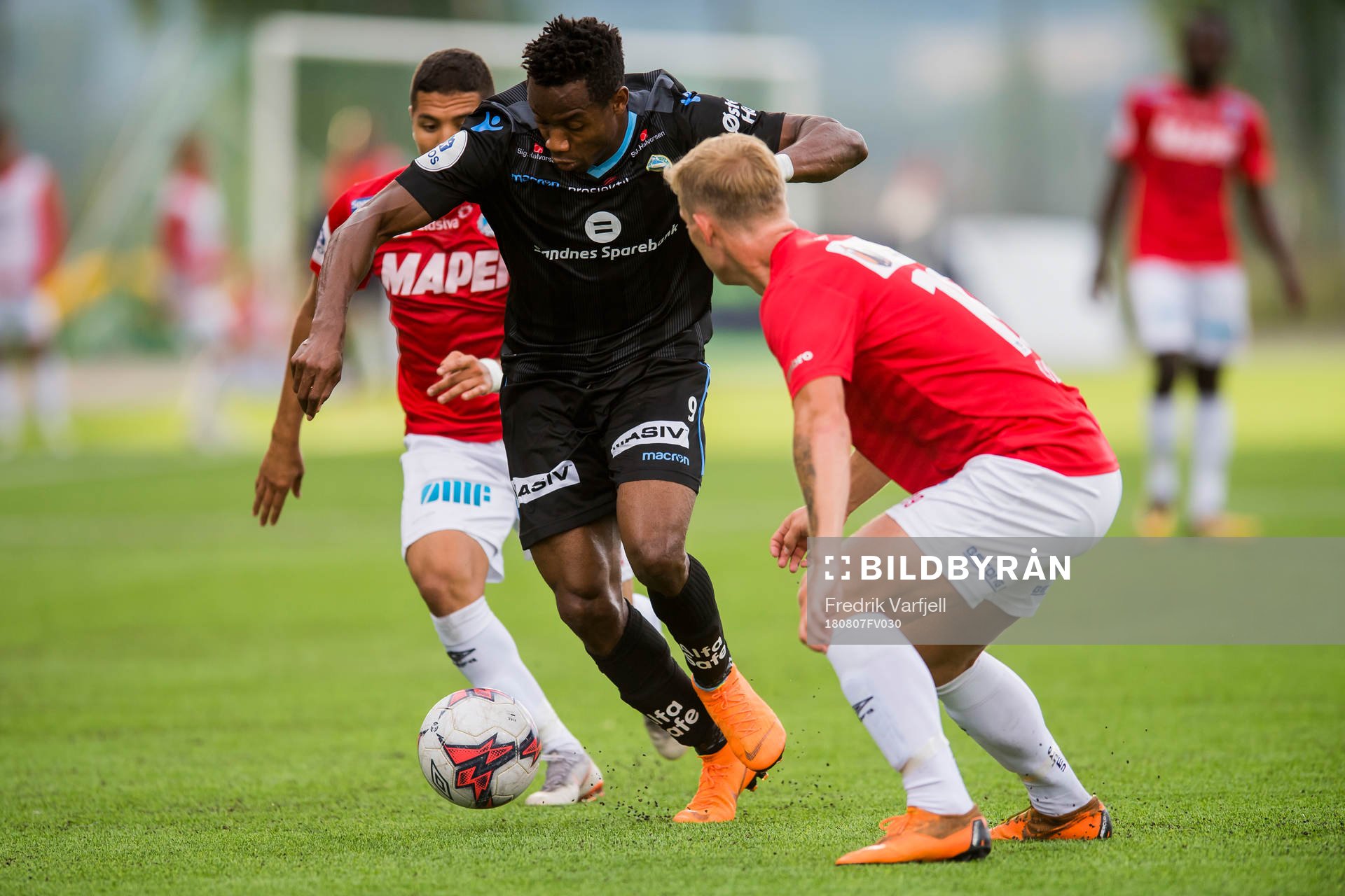 Kachi of Sandnes Ulf