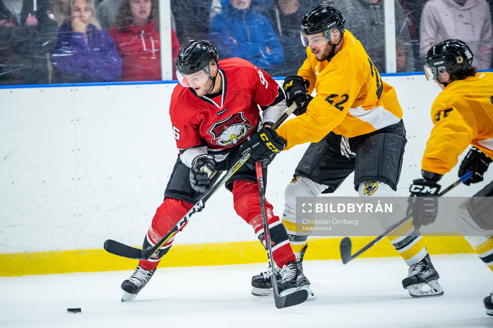 Malmö Redhawks Kim Rosdahl mot Panterns Ruben Rampazzo