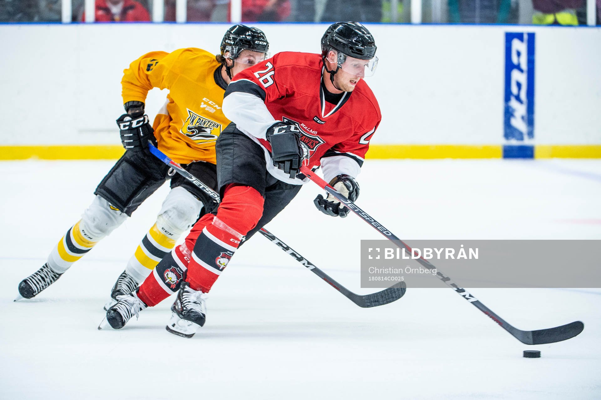 Panterns Oliver Larsen och Malmö Redhawks Axel Wemmenborn